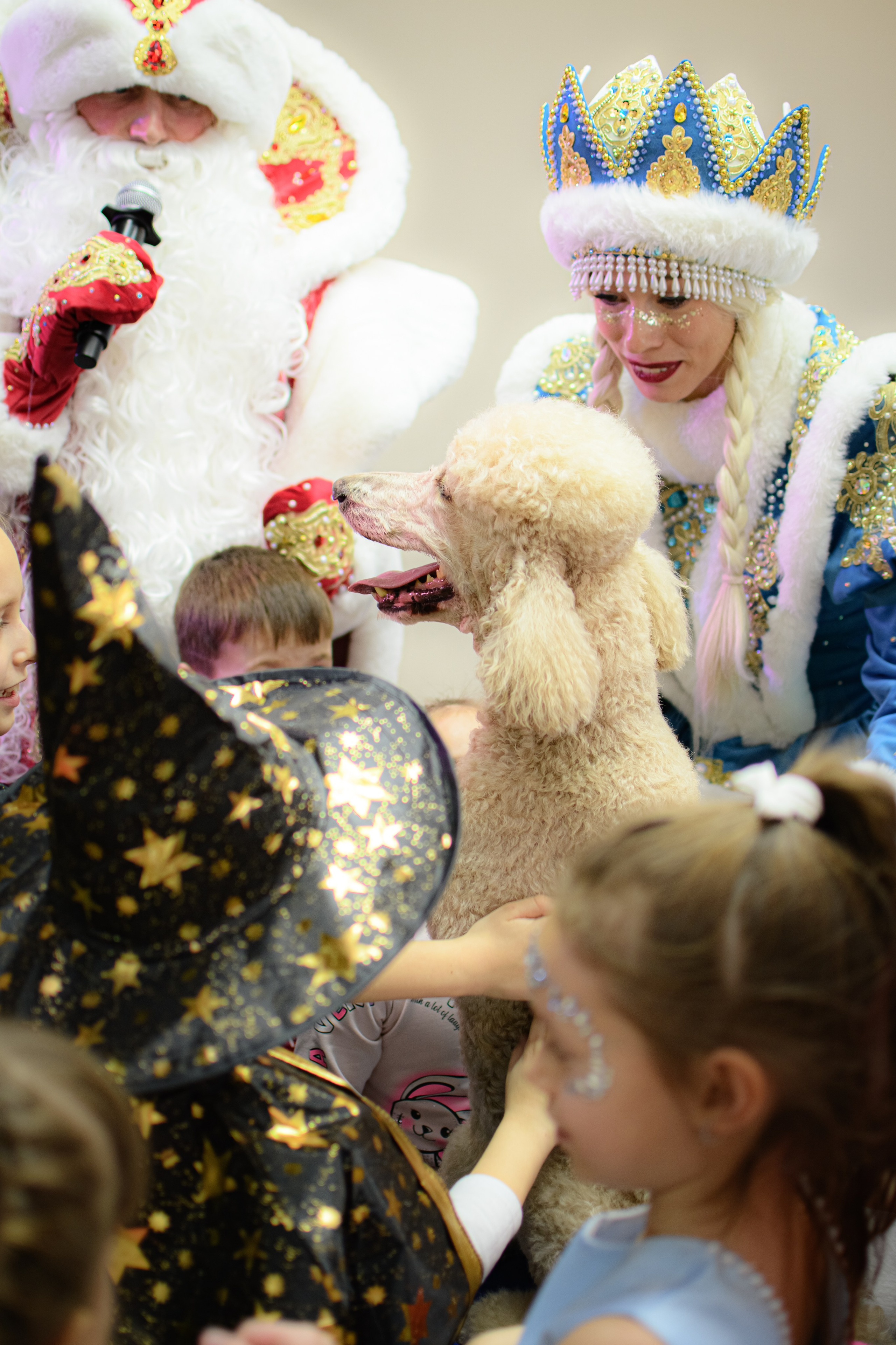 HAPPY NEW YEAR. Photokarish