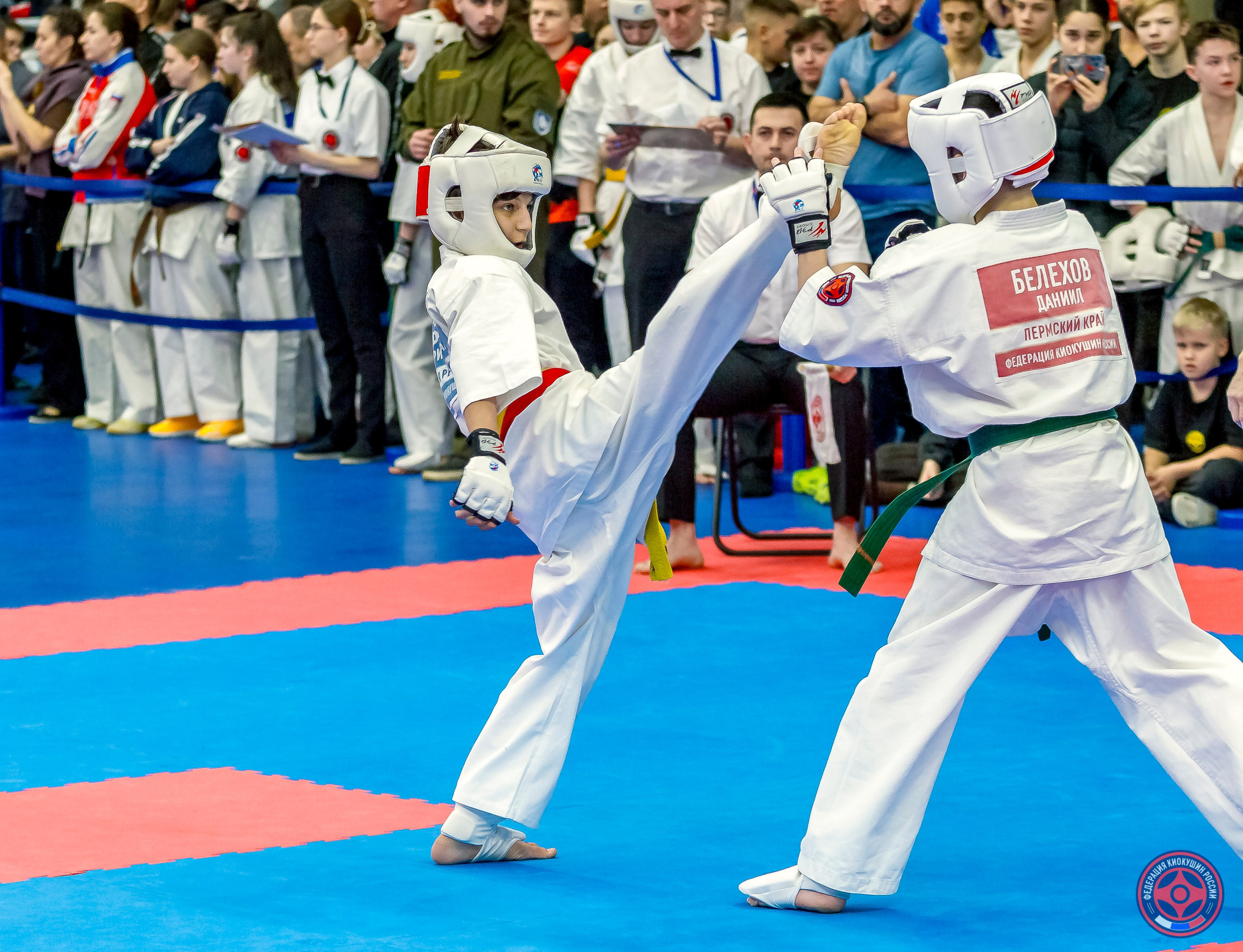 Международный турнир по киокушин «Открытый кубок Seiken». Репортажная съемка в Москве и области. Анималистика