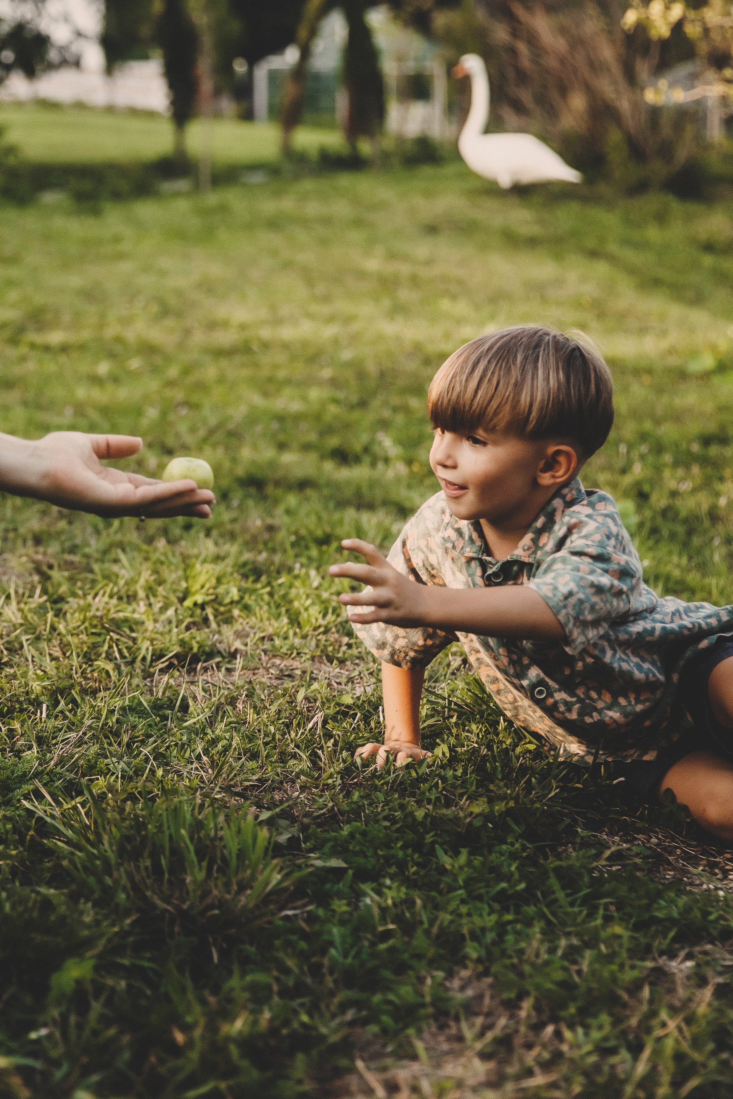 Семья Татьяны. Свадебный и семейный фотограф Колоскова Мария (Сочи и весь мир)