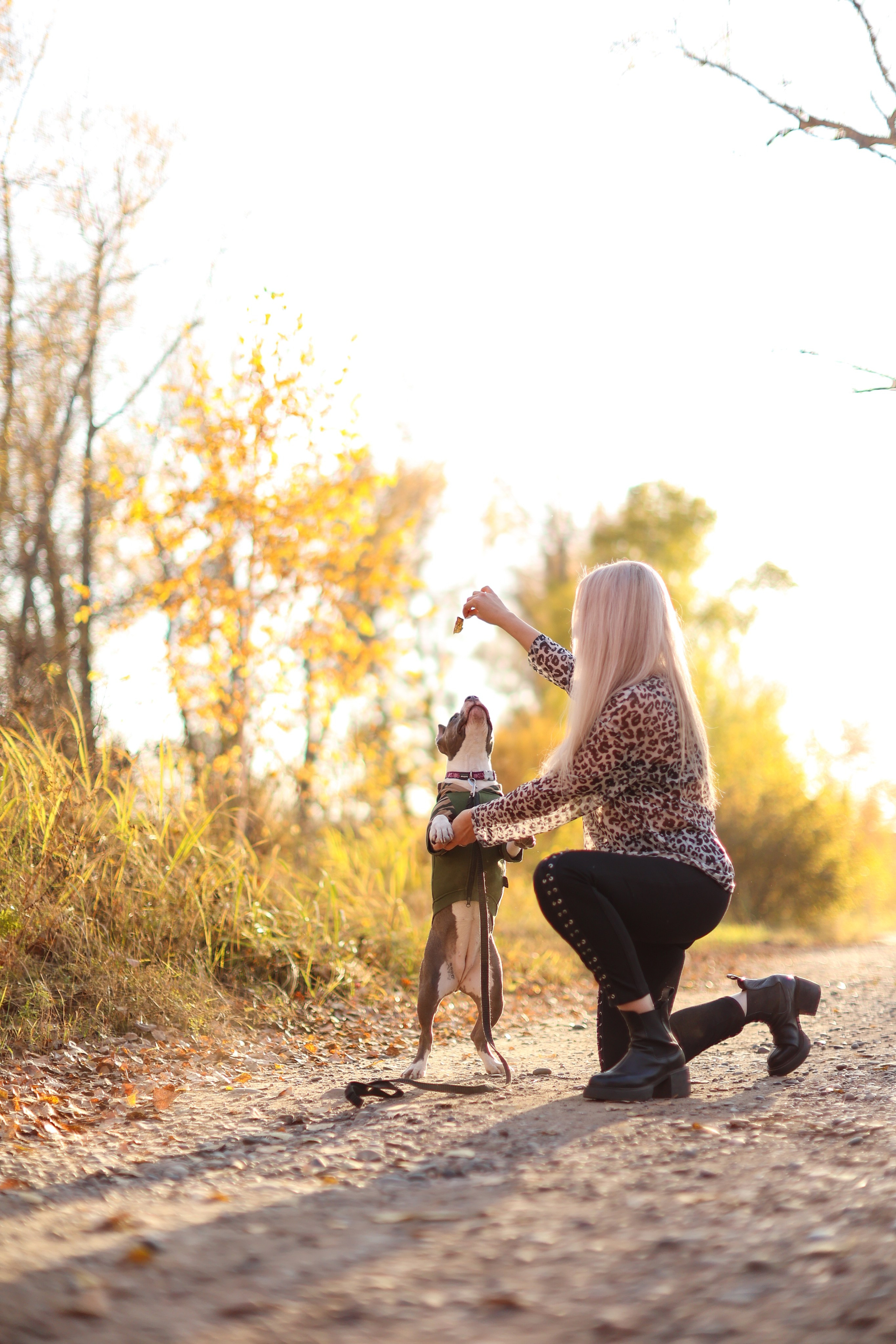 Осень. Art my Pho