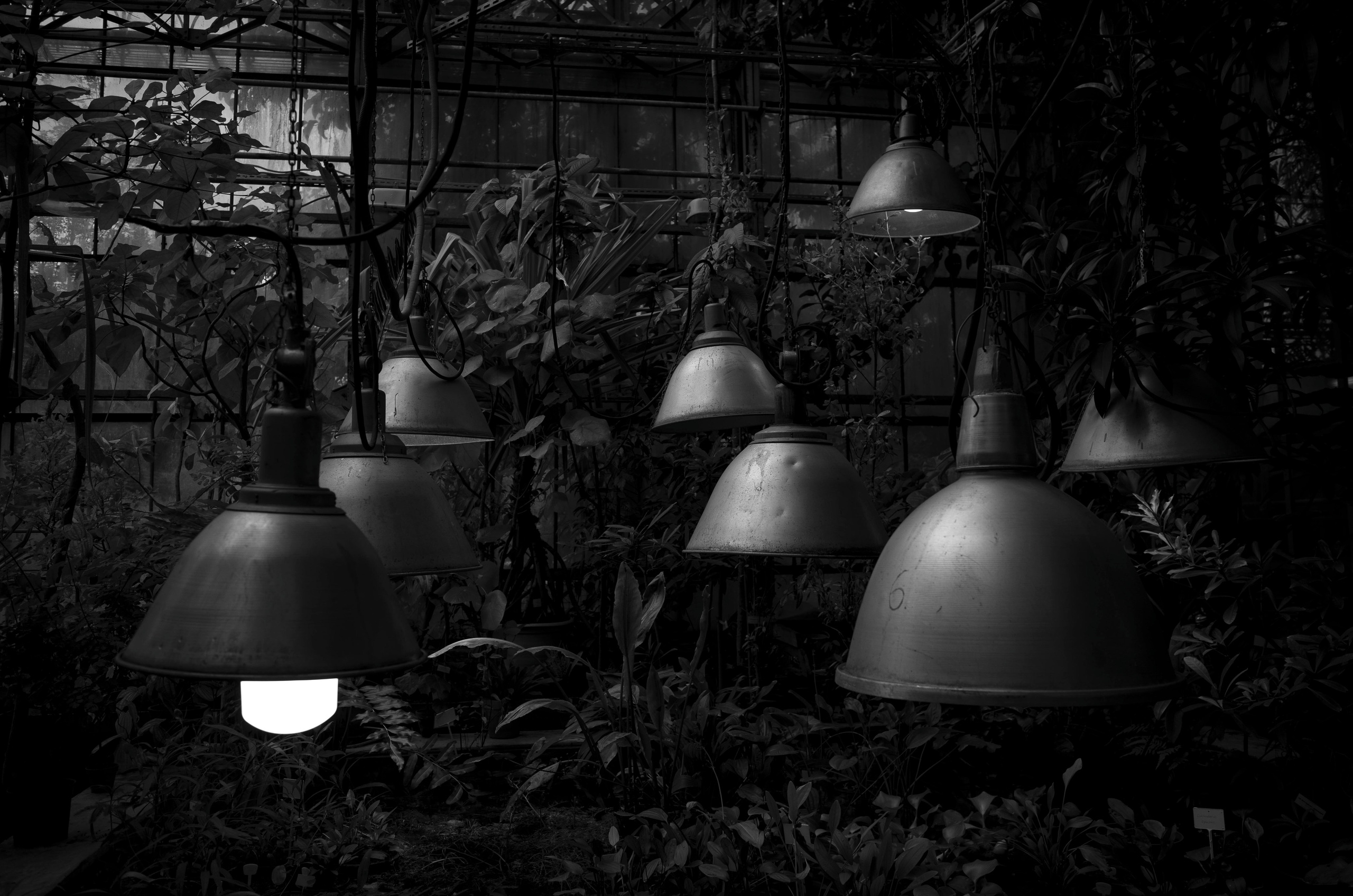 Самые черные фотографии. Артём Линейцев, фотограф