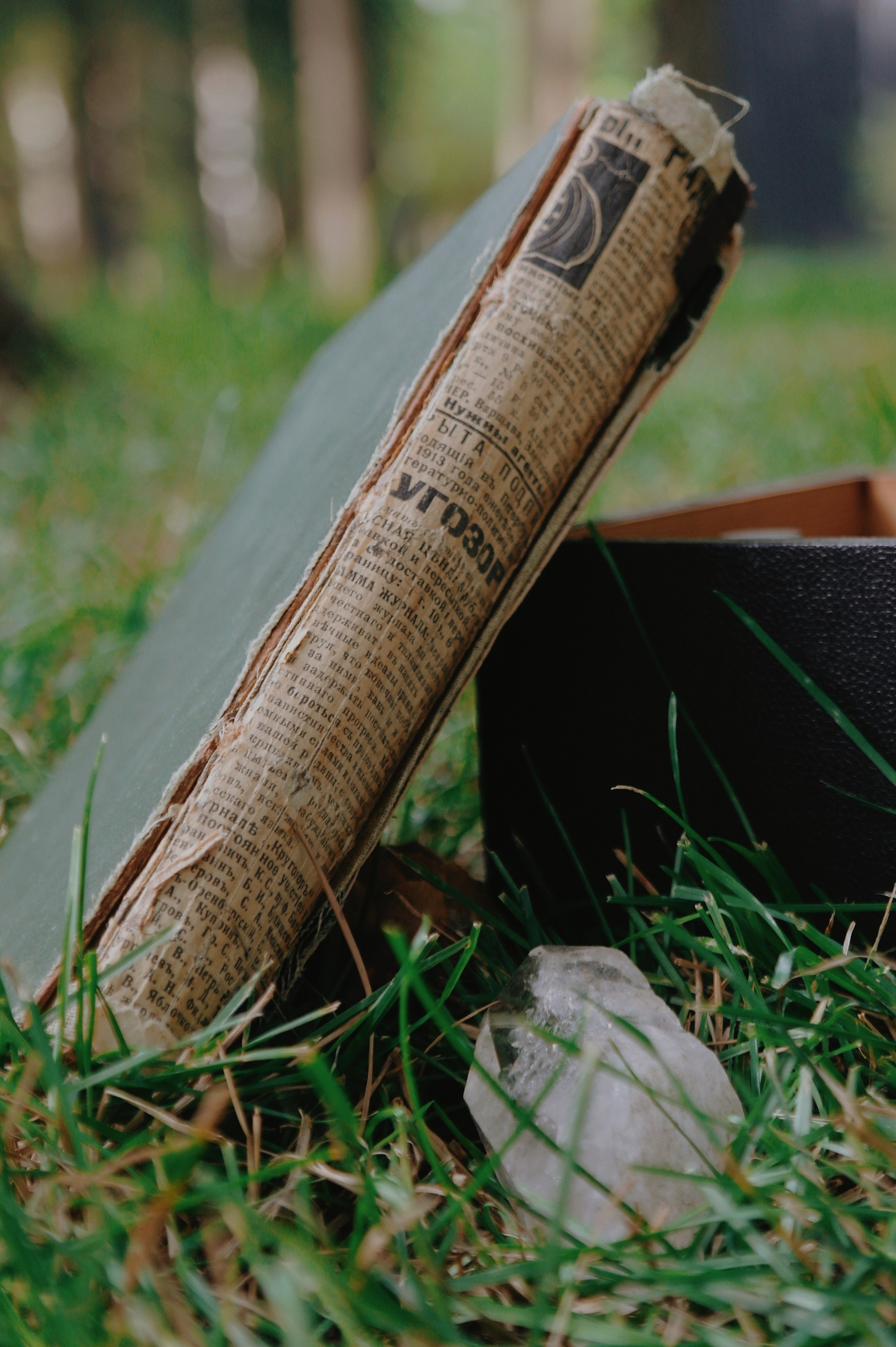 Переделкино. Татьян гертье