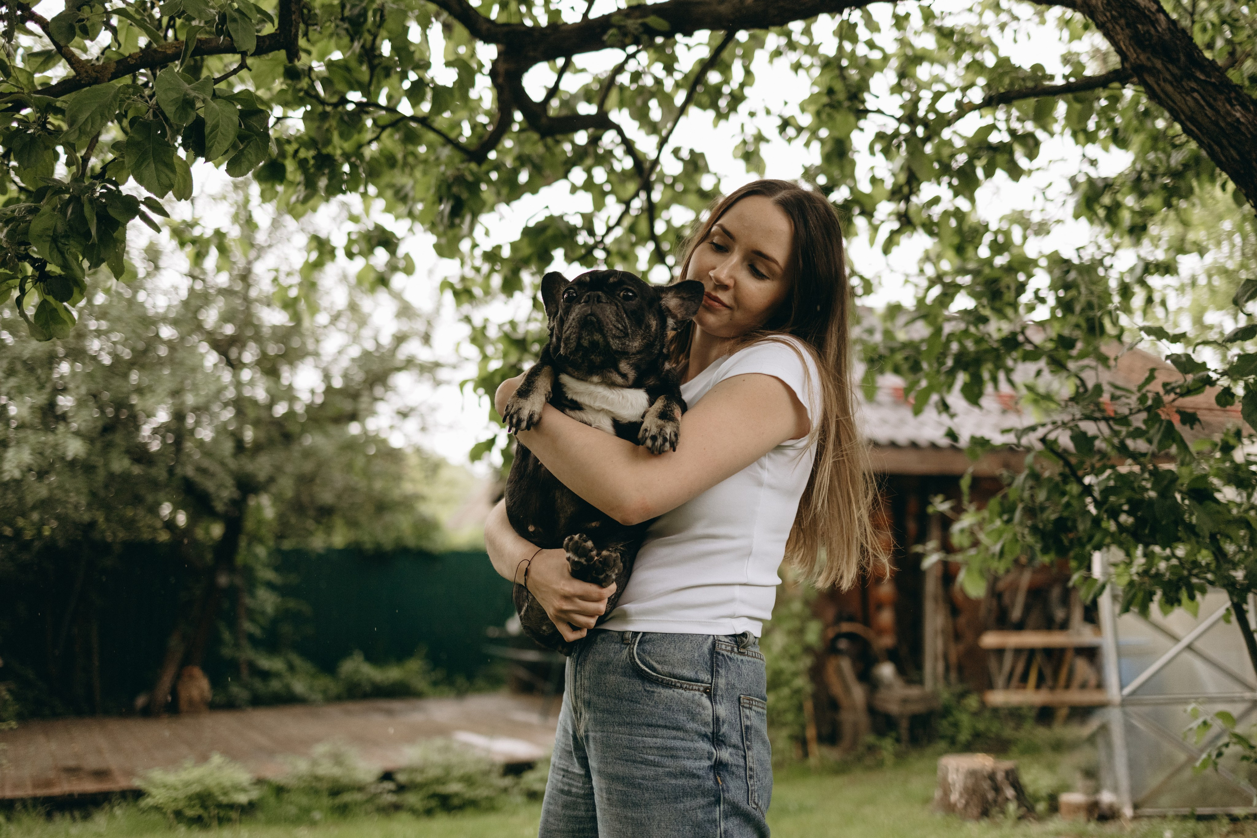 Софа и ее хвостики. Фотограф — Анималист | Санкт-Петербург
