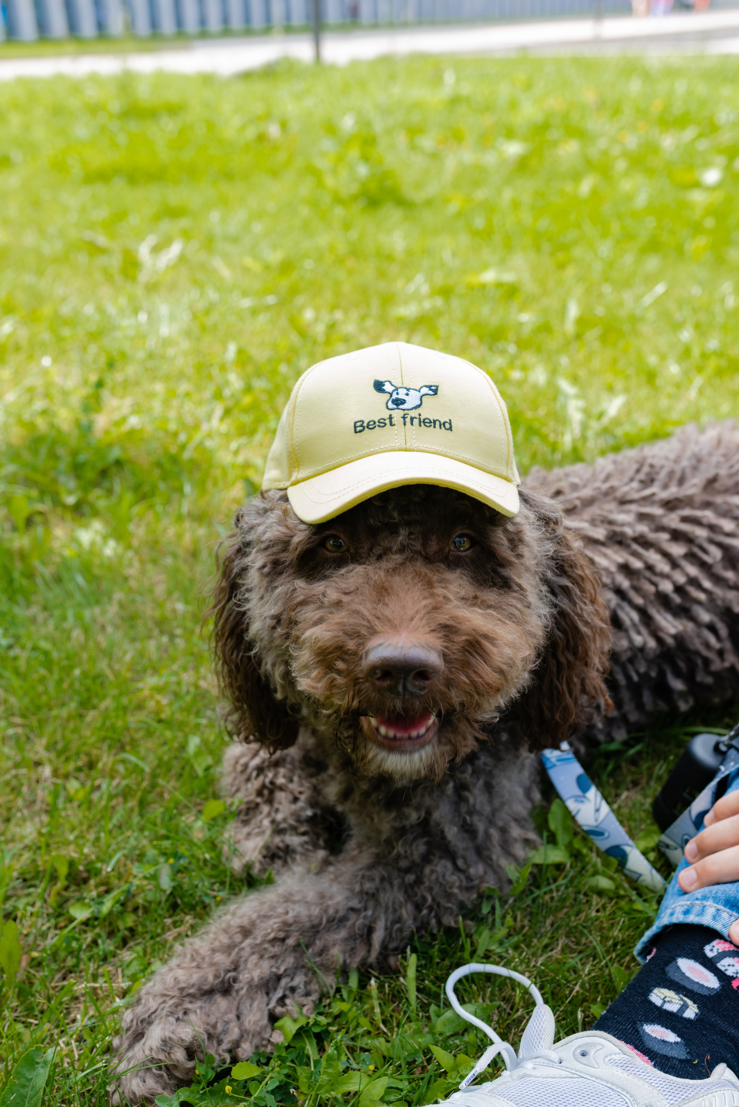 Pets. Фотограф в Москве Daria Lens