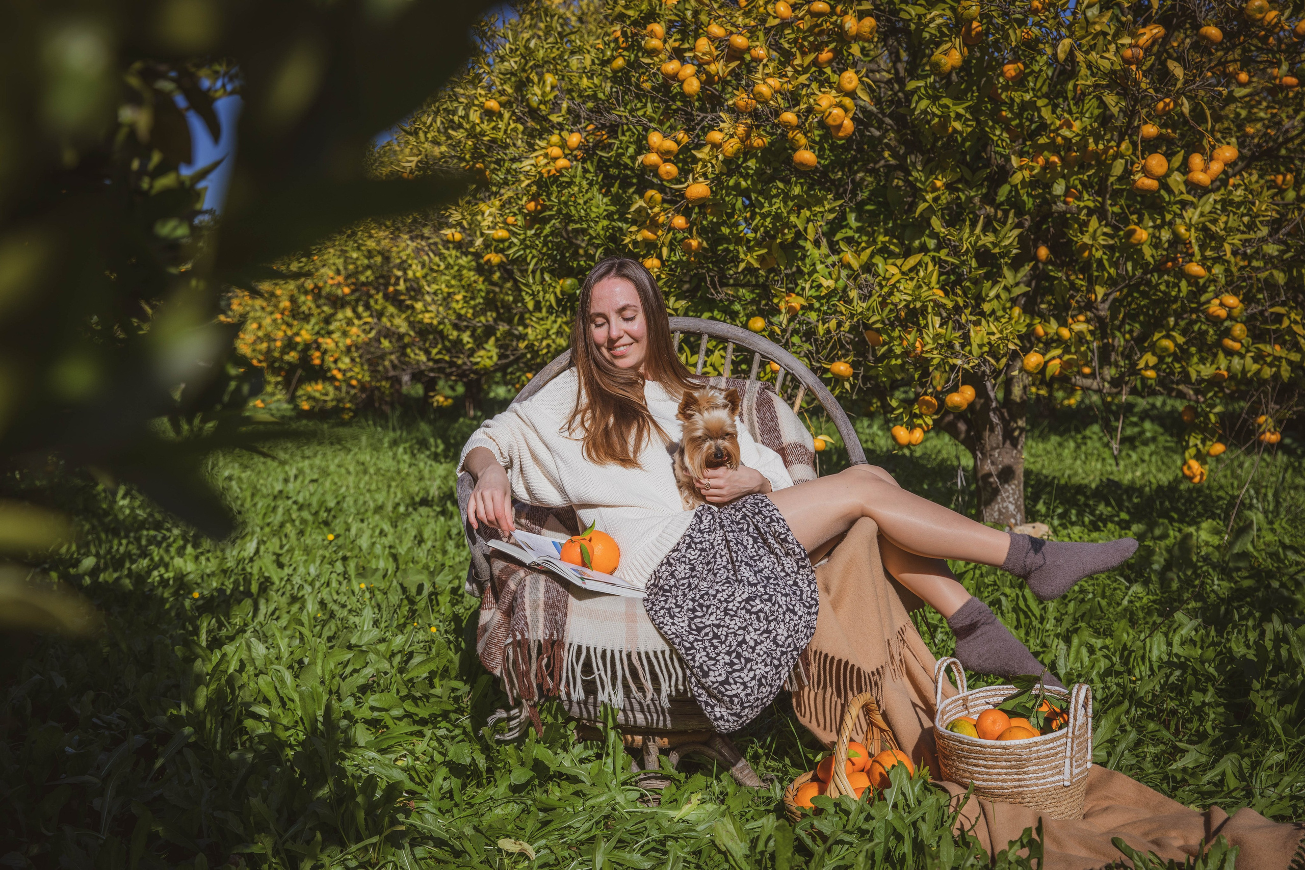 Orange pearls of the Algarve. Professional Photographer in Portugal. Oksana Lomnova