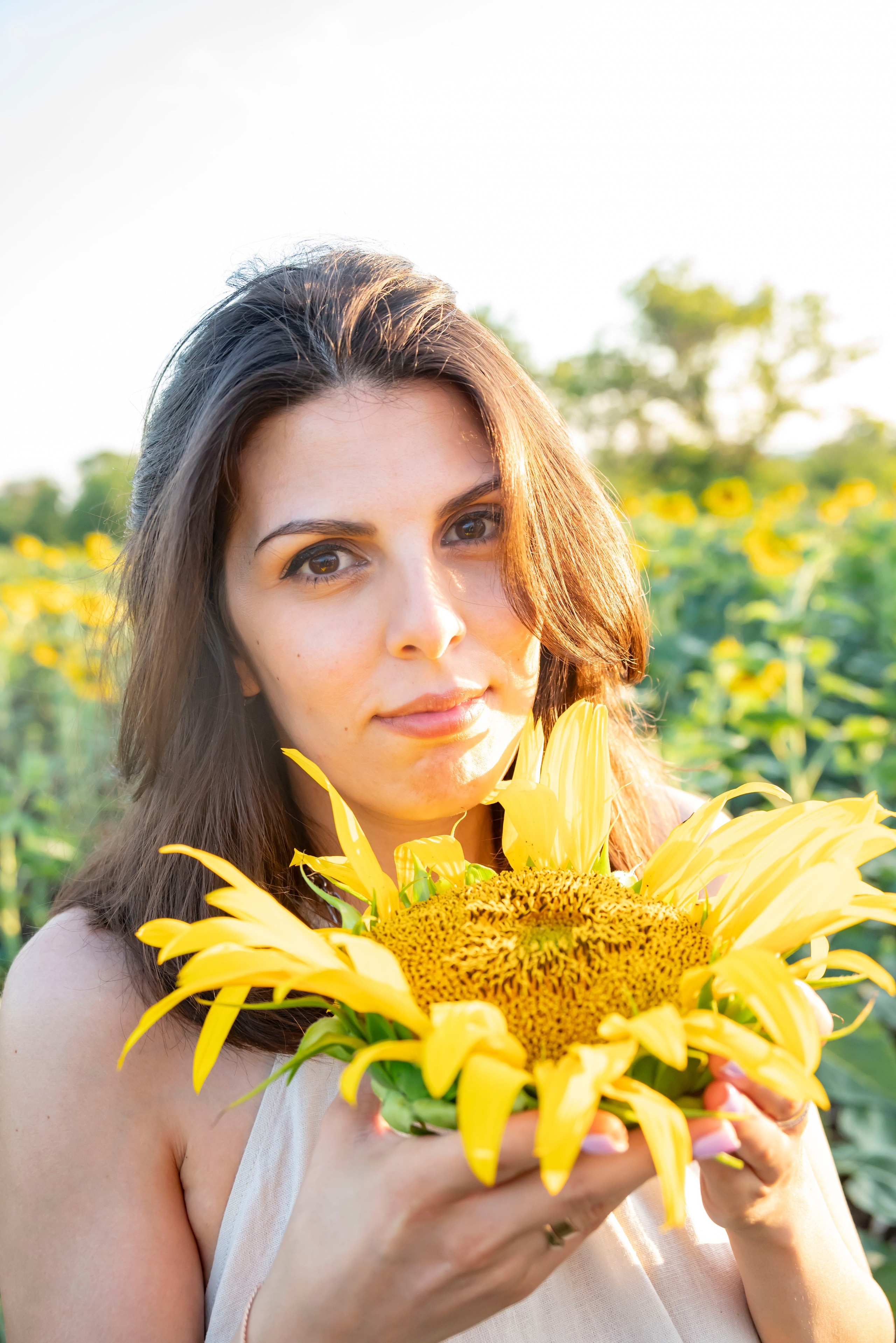 Летняя прогулка. Главная