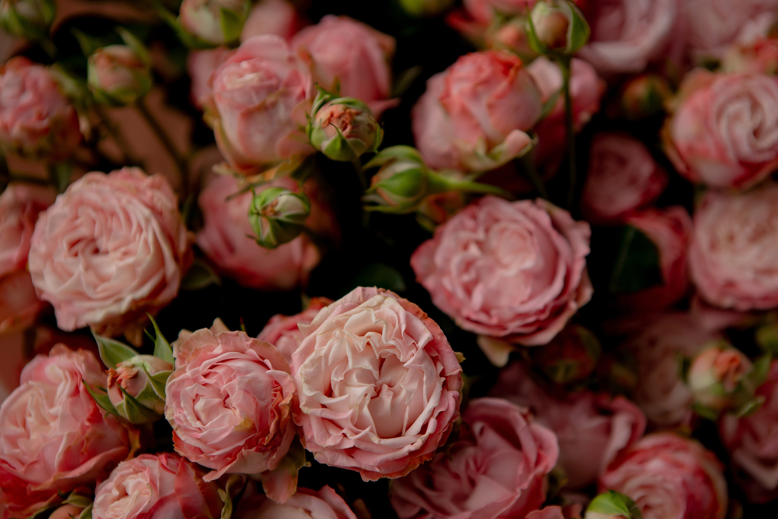 Дмитрий и Екатерина. Artiland. Свадебный фотограф Ксения Трухина в Нижнем Новгороде и Москве