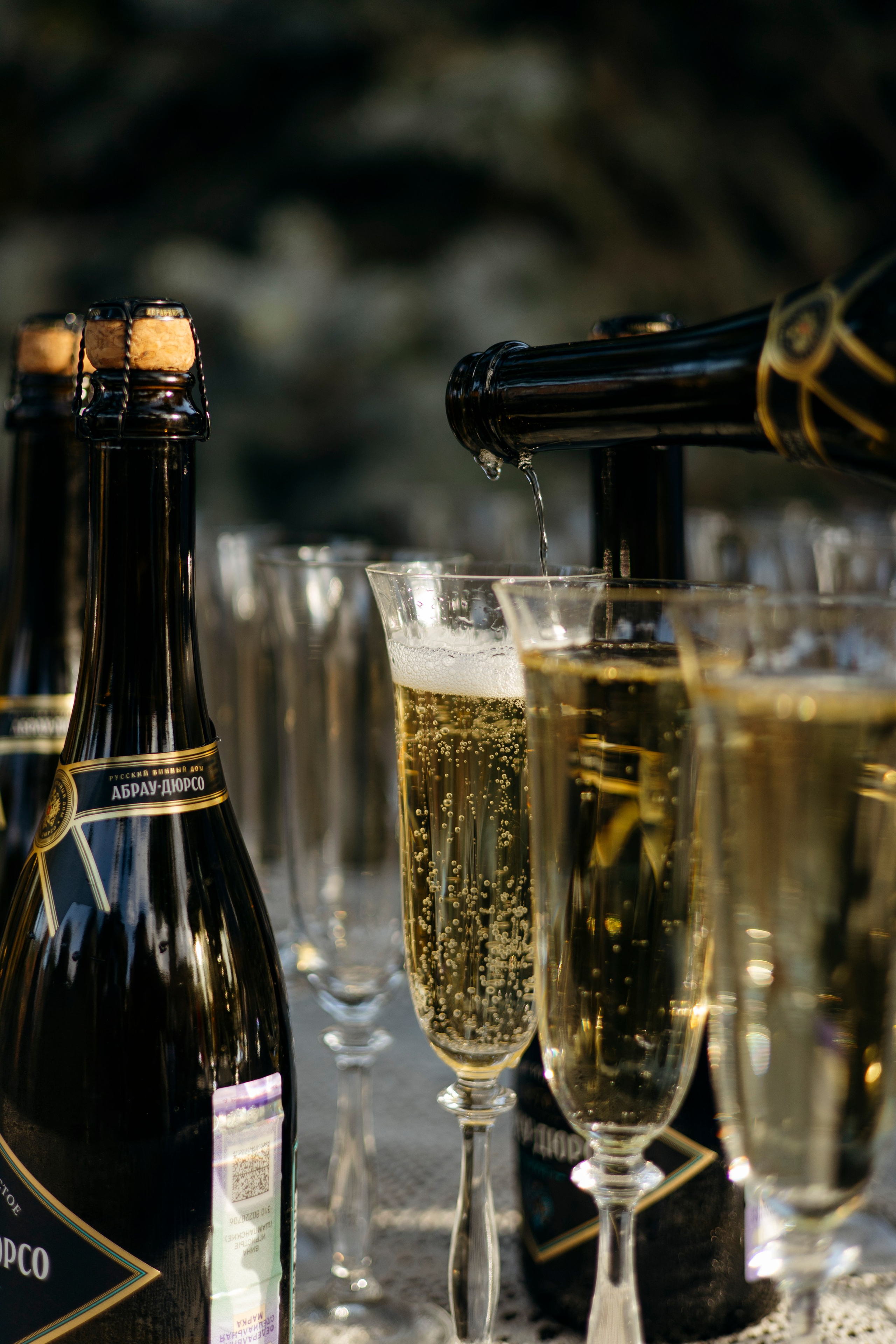 Роман и Ксения. Nikolpinhasova