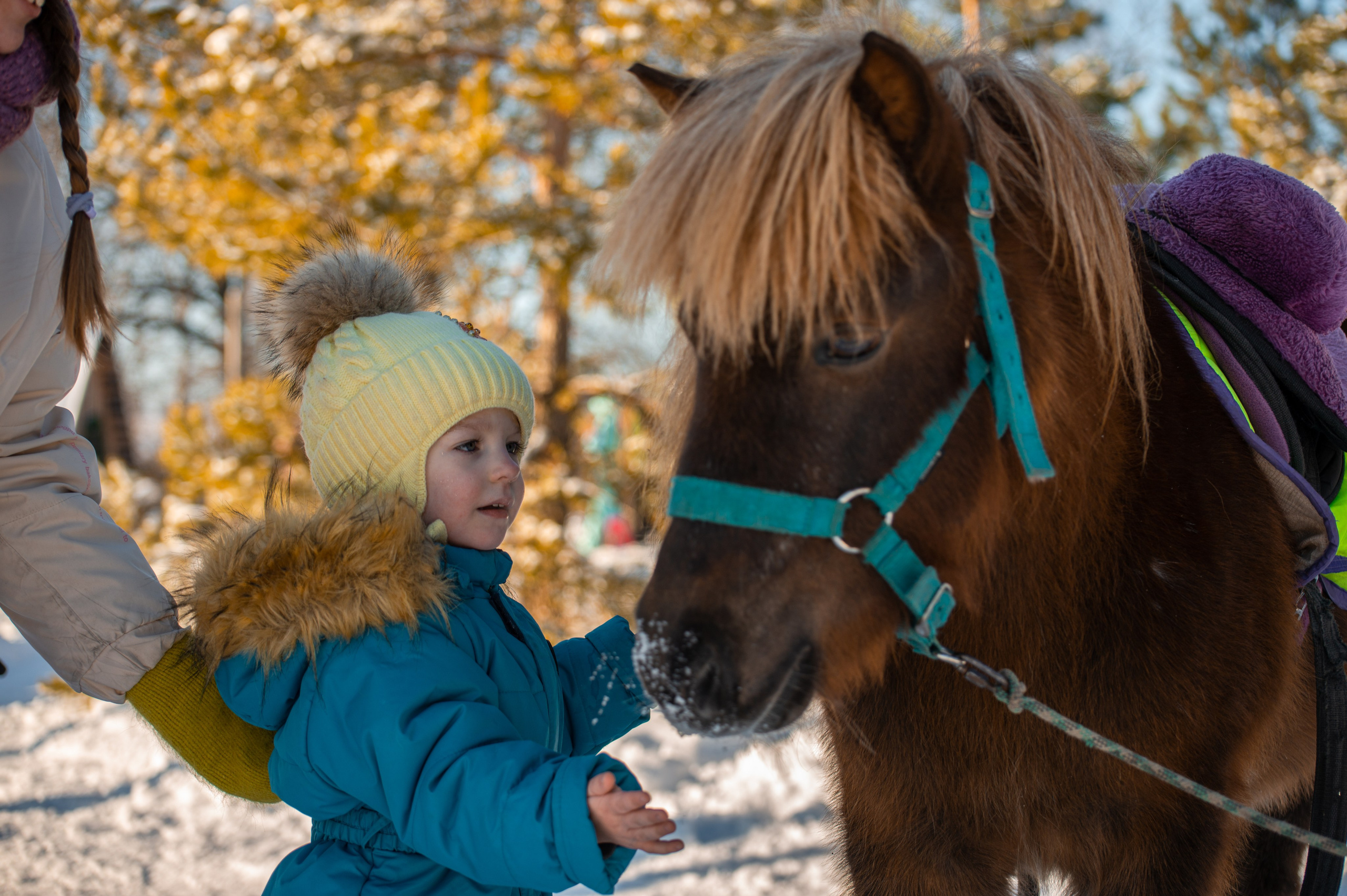 Дети и лошади. Конный фотограф в Саратове Юлия Иванова