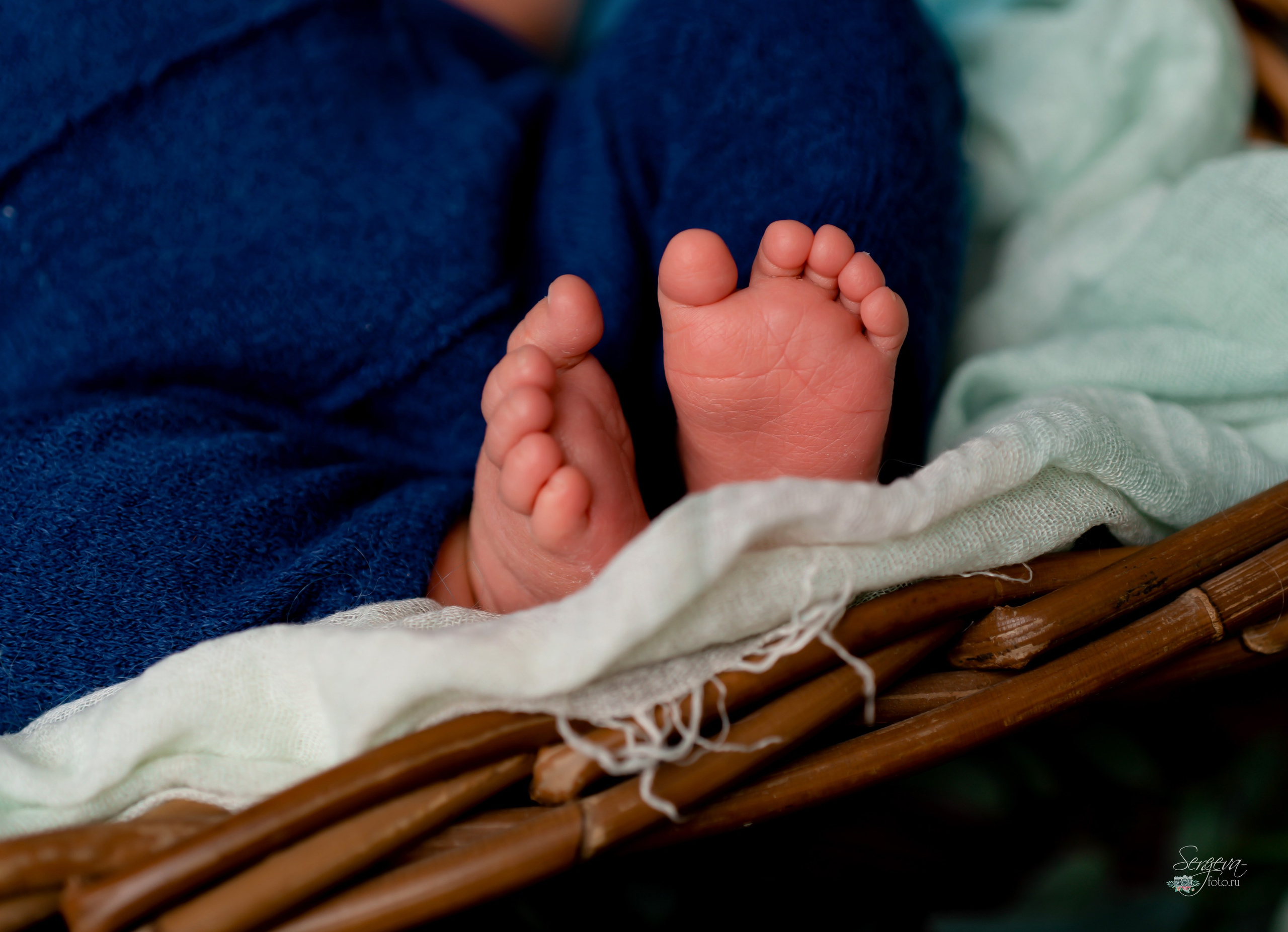 Дмитрий 8 дней. Фотограф новорожденных в Нижнем Новгороде Сергеева Оксана