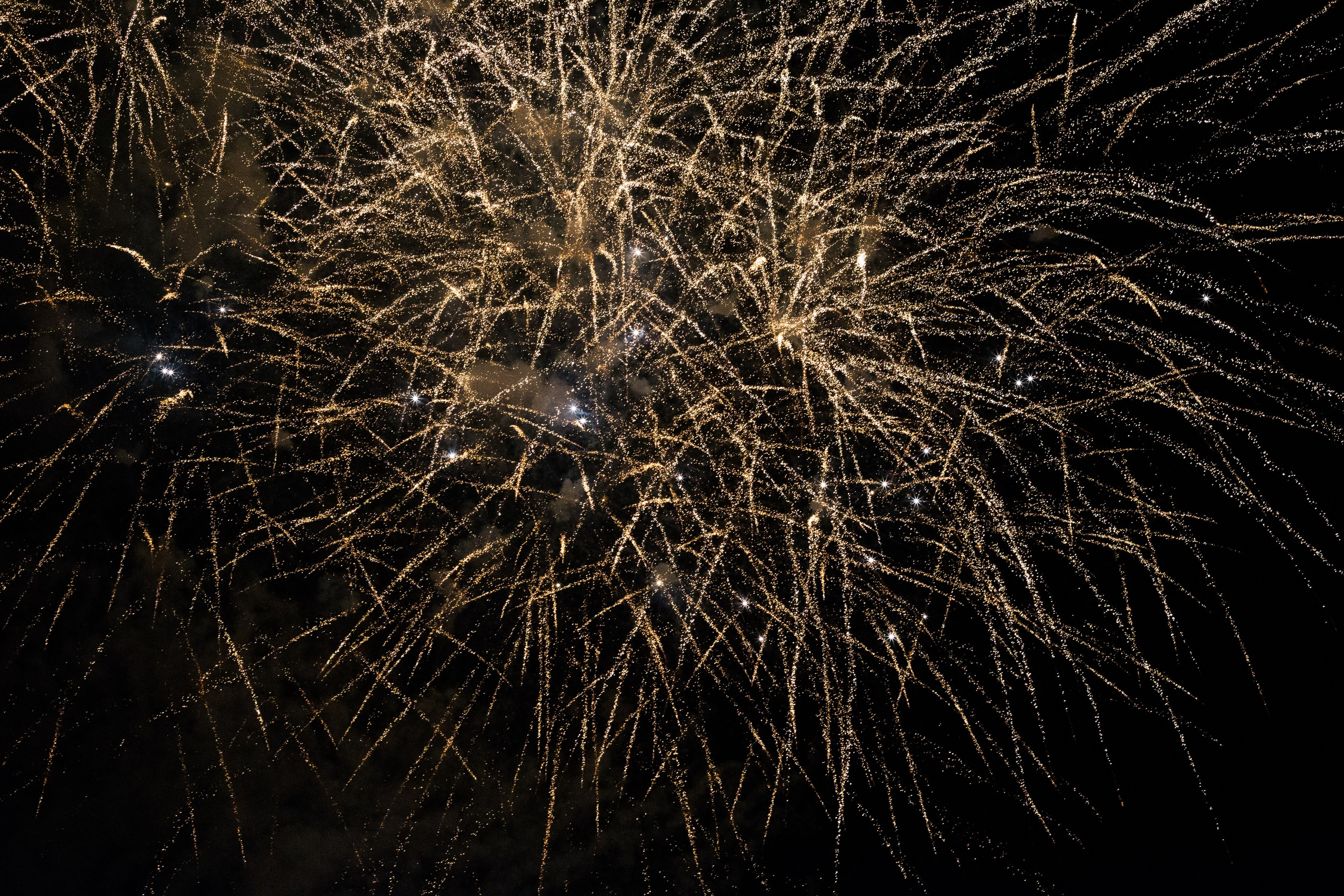 Фестиваль воздушных шаров. Детский и семейный фотограф, фотограф мероприятий Нижний Новгород