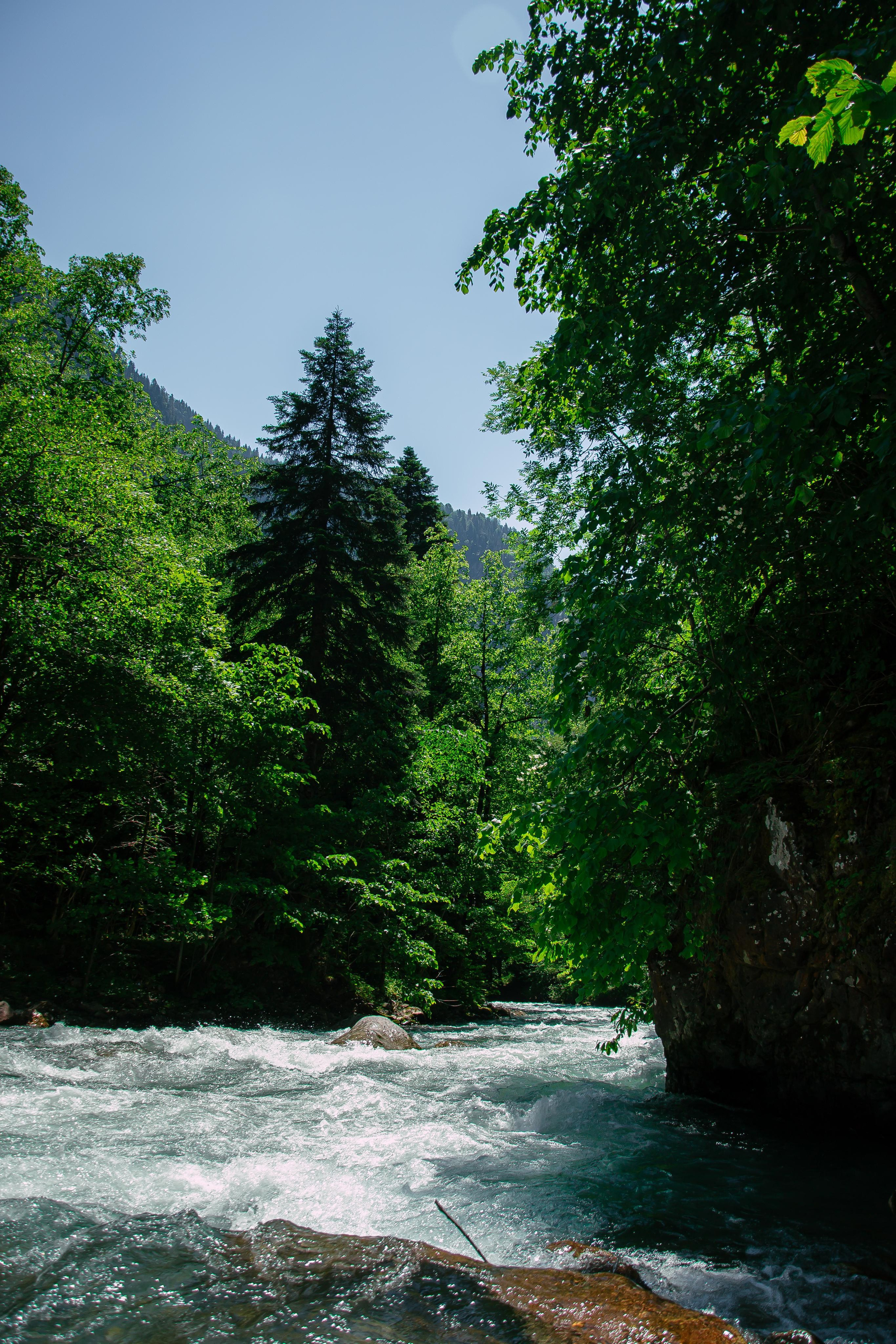 Абхазия 2022. Фотограф в Нижнем Новгороде Yulia_Kuvshinka