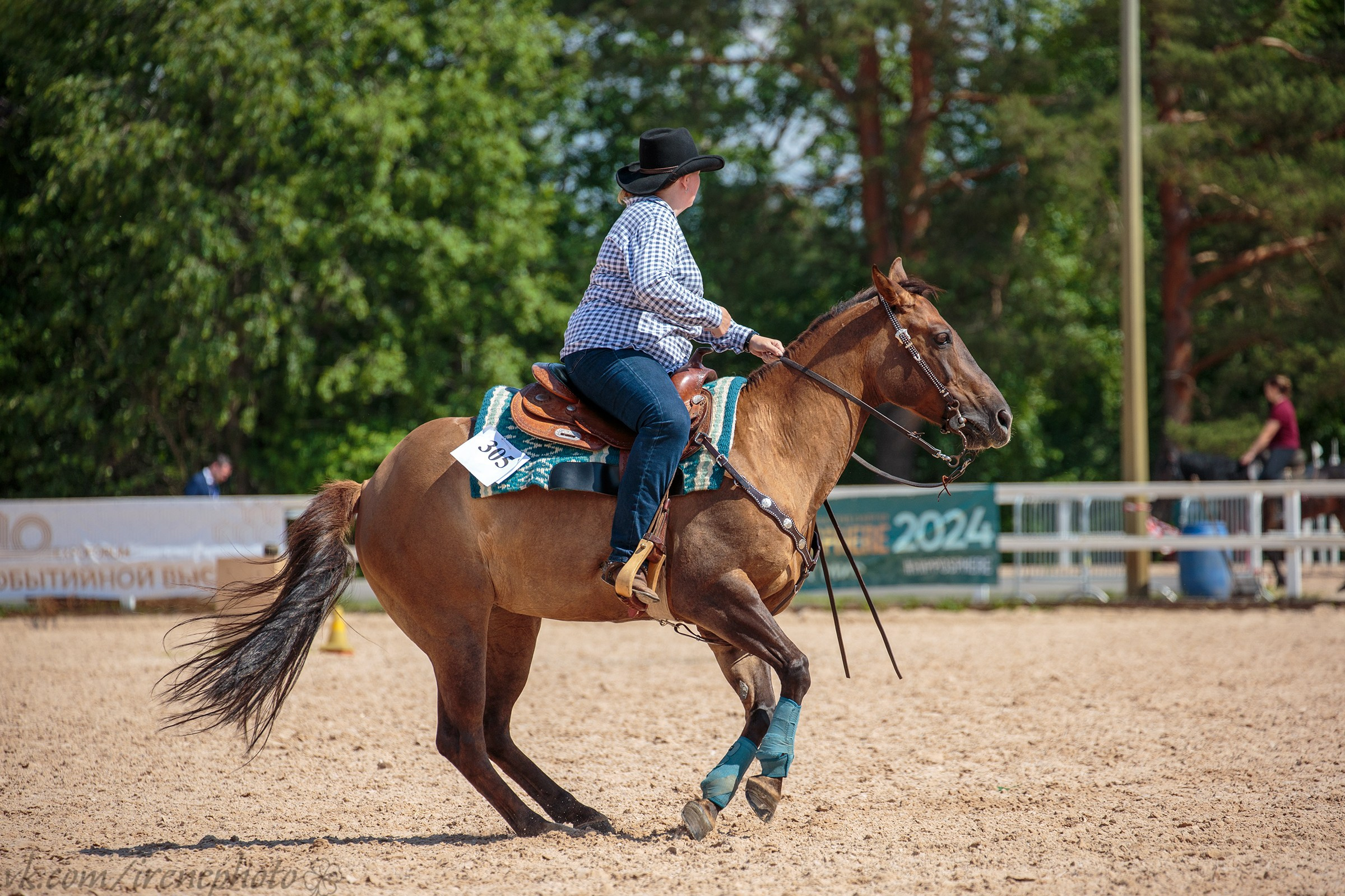 Иппосфера 2024. Irenephoto.ru