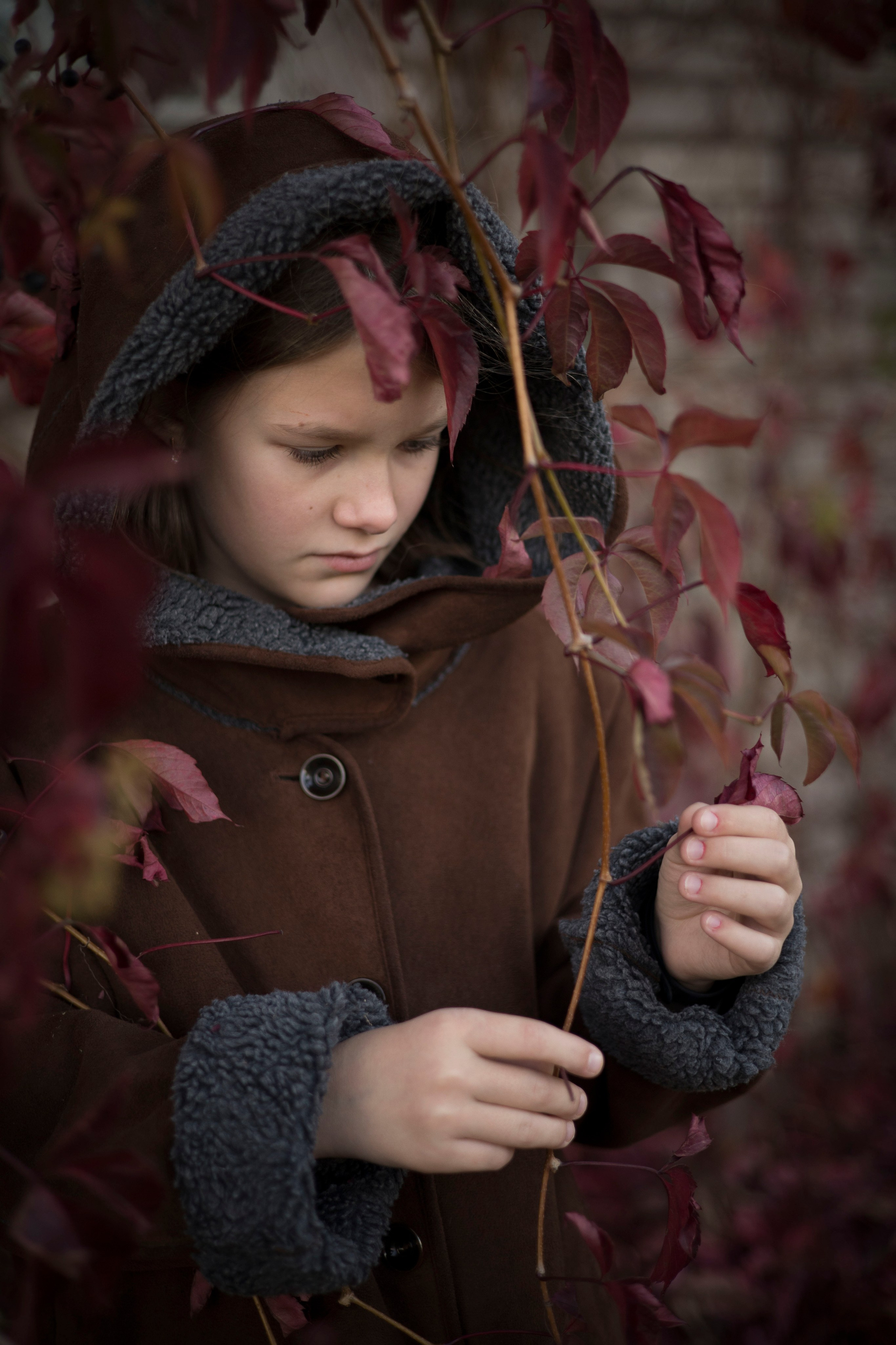 Дикий виноград. Семейный, детский и ньюборн фотограф. Новая Москва