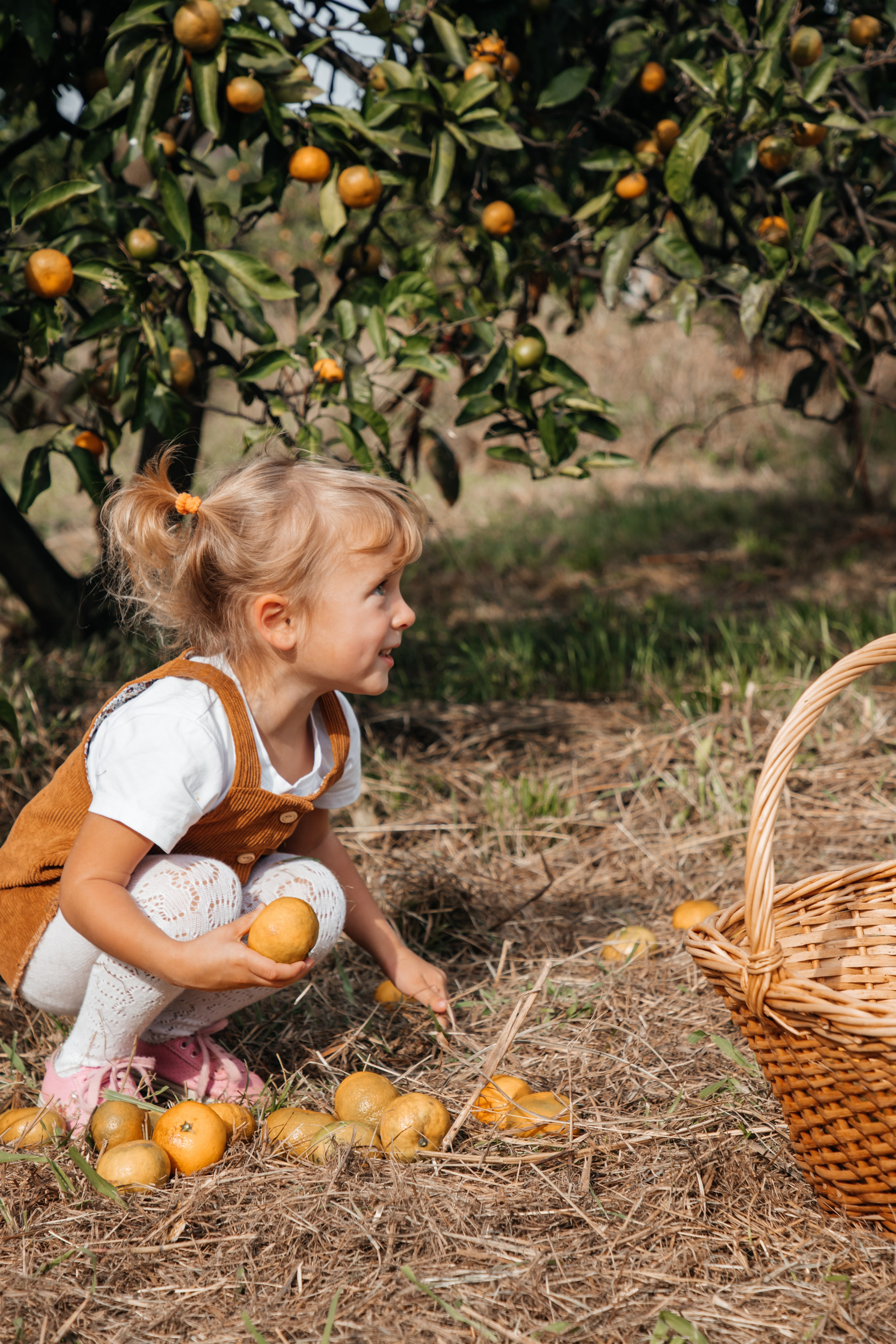 Мандариновое настроение. Фотограф Сочи, Екатеринбург, Евгения Ефимова