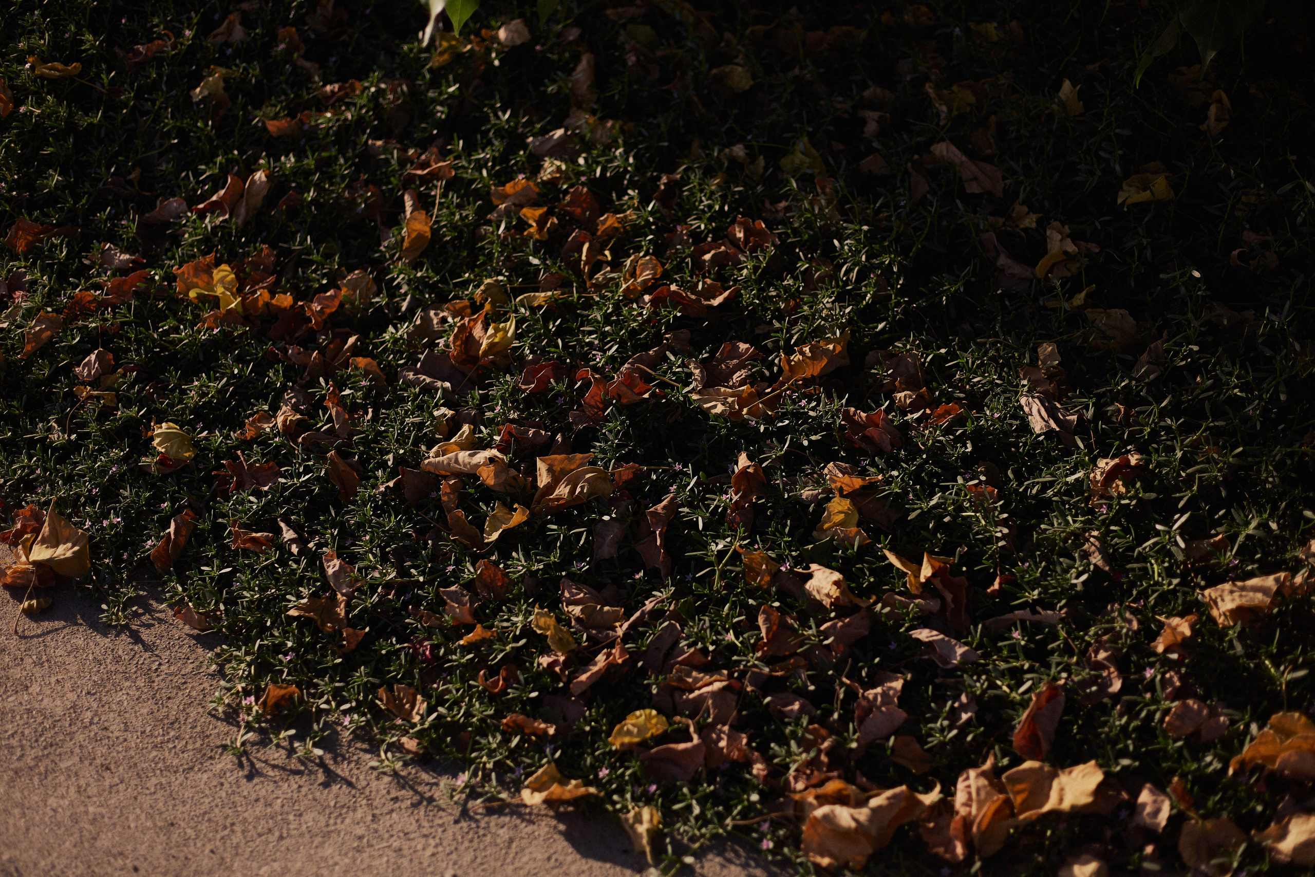 Другое 3. Jorgis Talè — photographer, kind person, teacher of arts and other mag