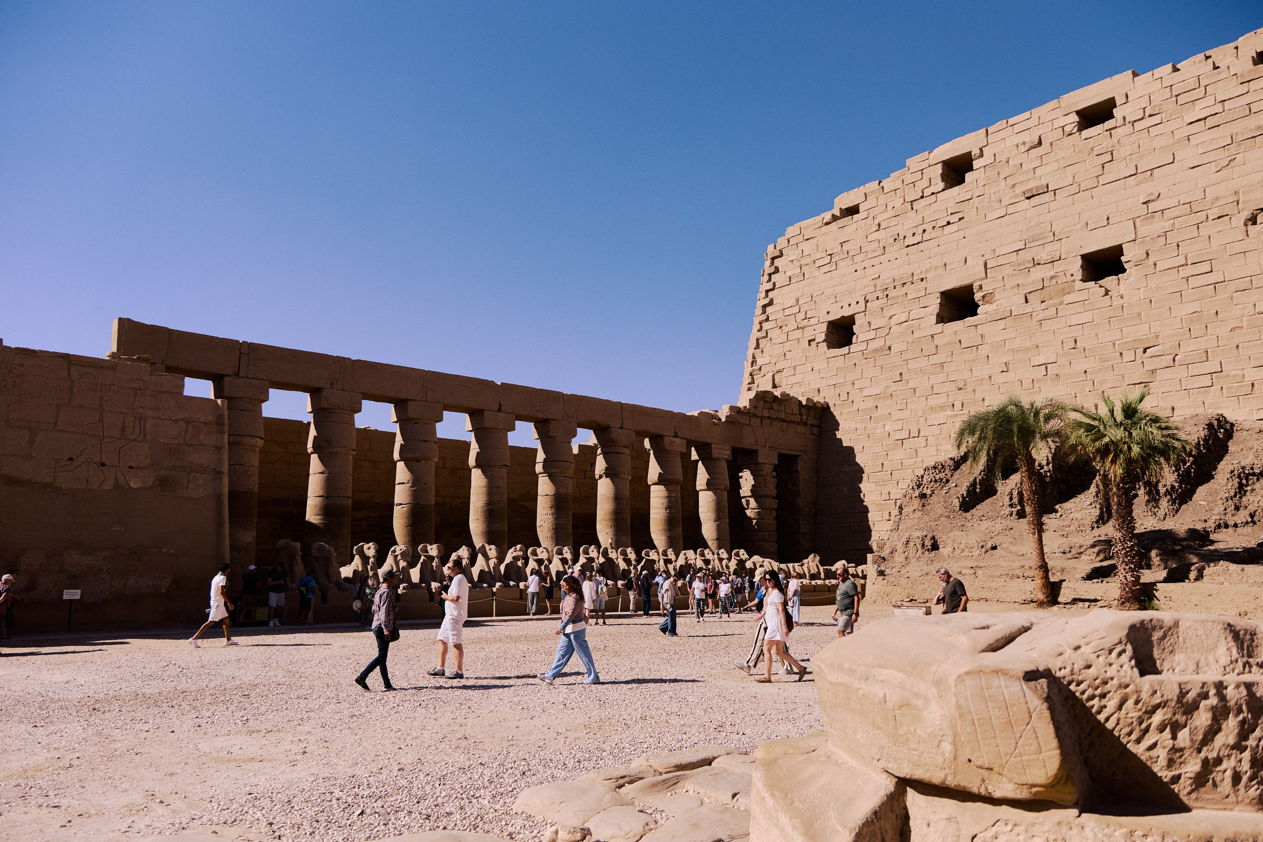 Другое 4. Jorgis — фотограф в Хургаде / обучение фотографии