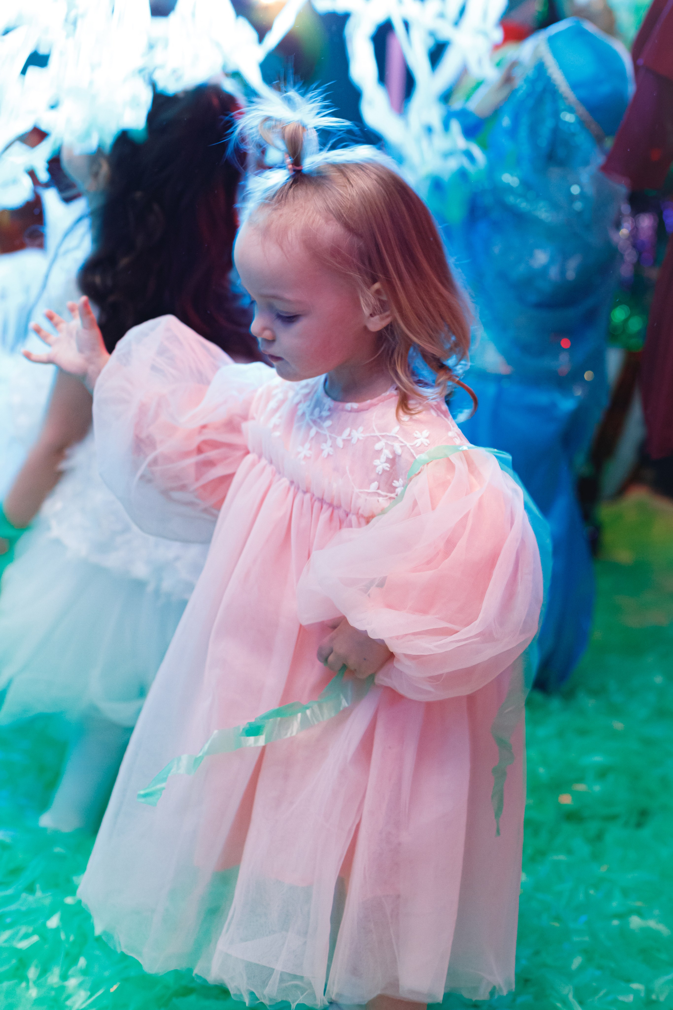 Happy new year. Photokarish