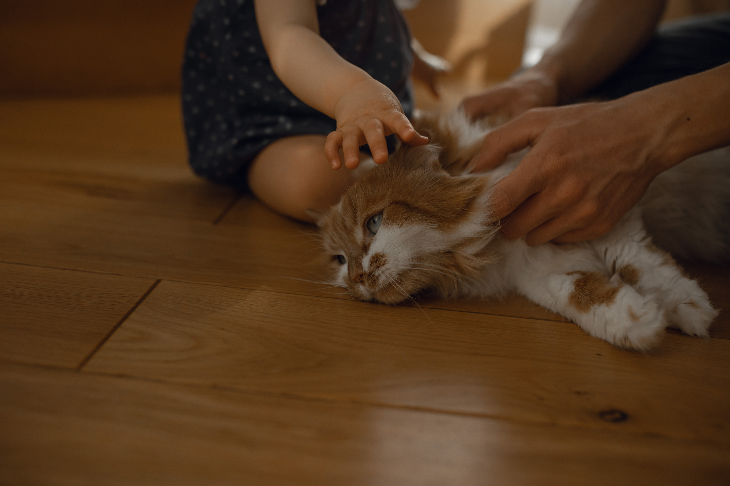 СЕМЕЙНАЯ ФОТОСЕССИЯ. Семейный и Lifestyle фотограф в Москве Маргарита Ермолова