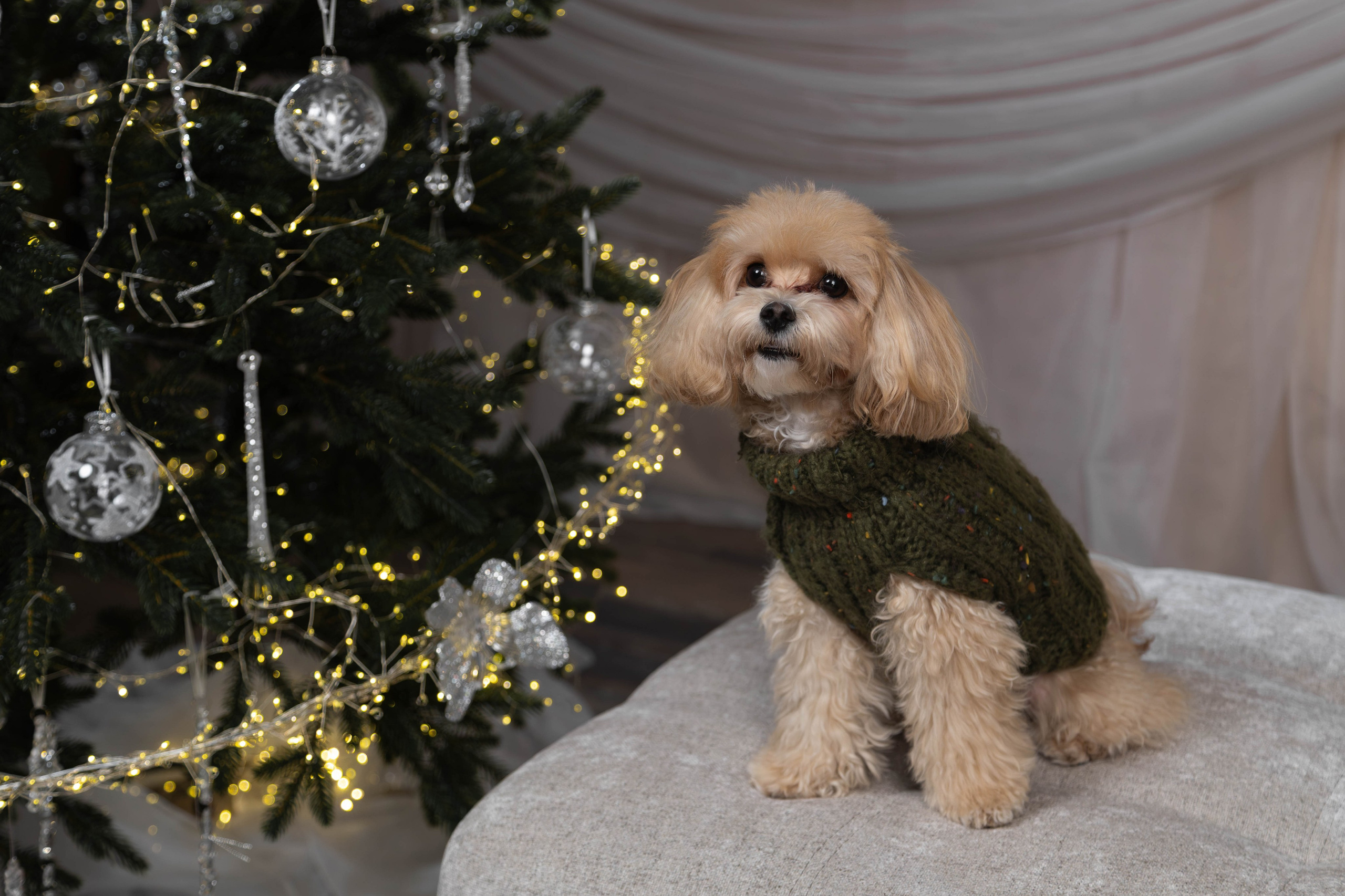 Семья Натальи и Сергея. Фотограф в Волгограде Норченко Светлана