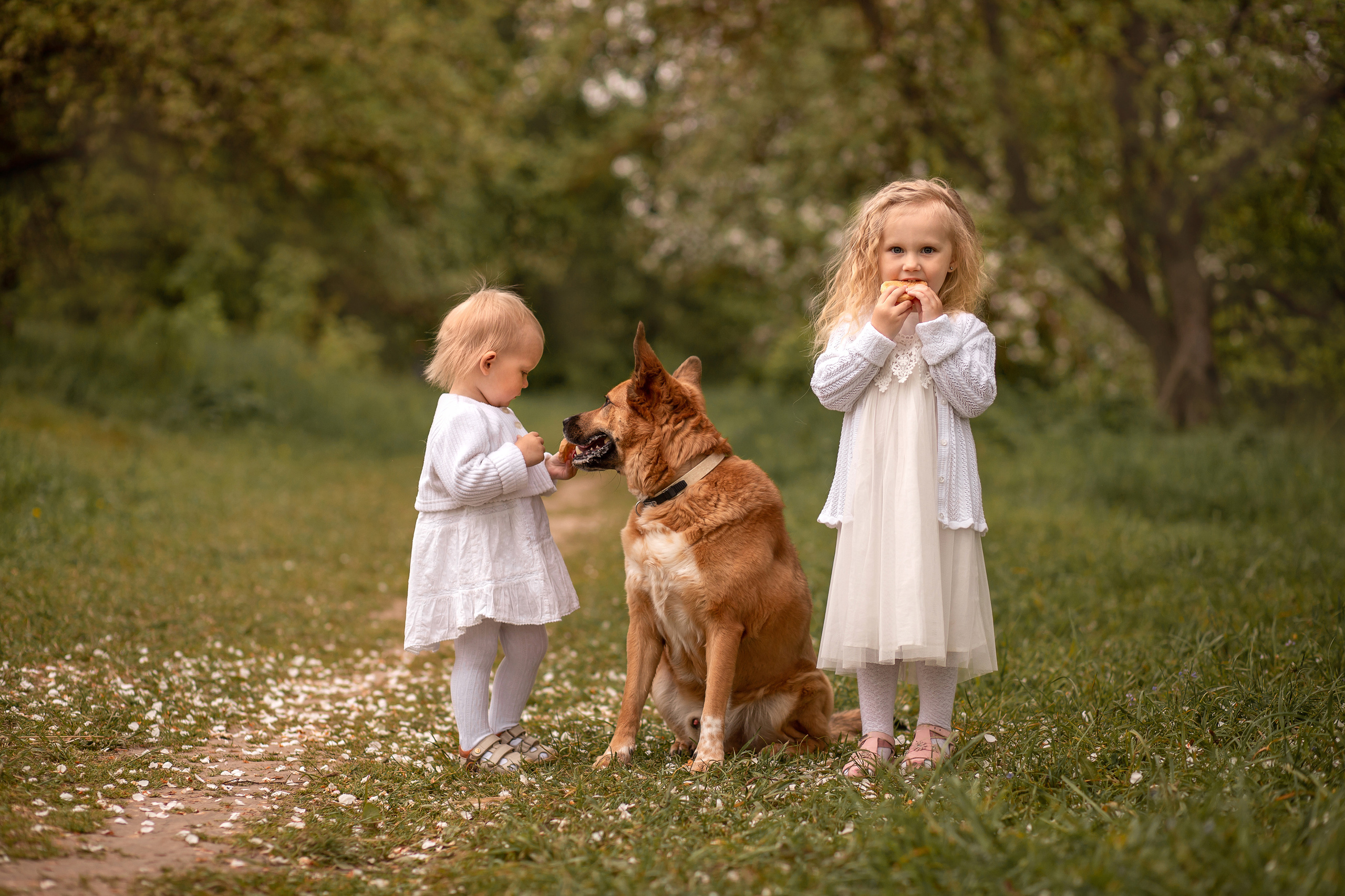 Семейный и детский фотограф в Калуге Вероника Голованова