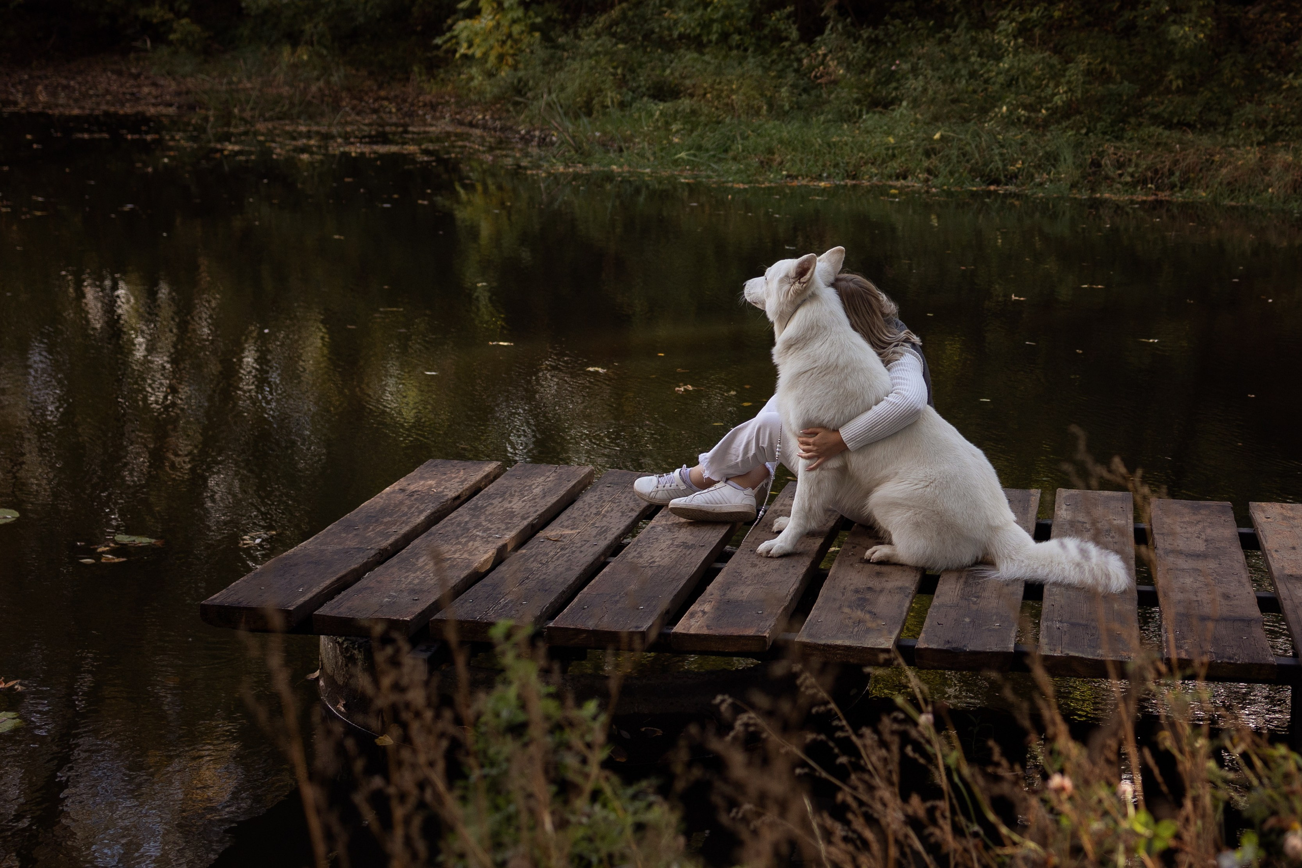 Алина и Райден. Фотограф — Анималист Наталья Тямушева