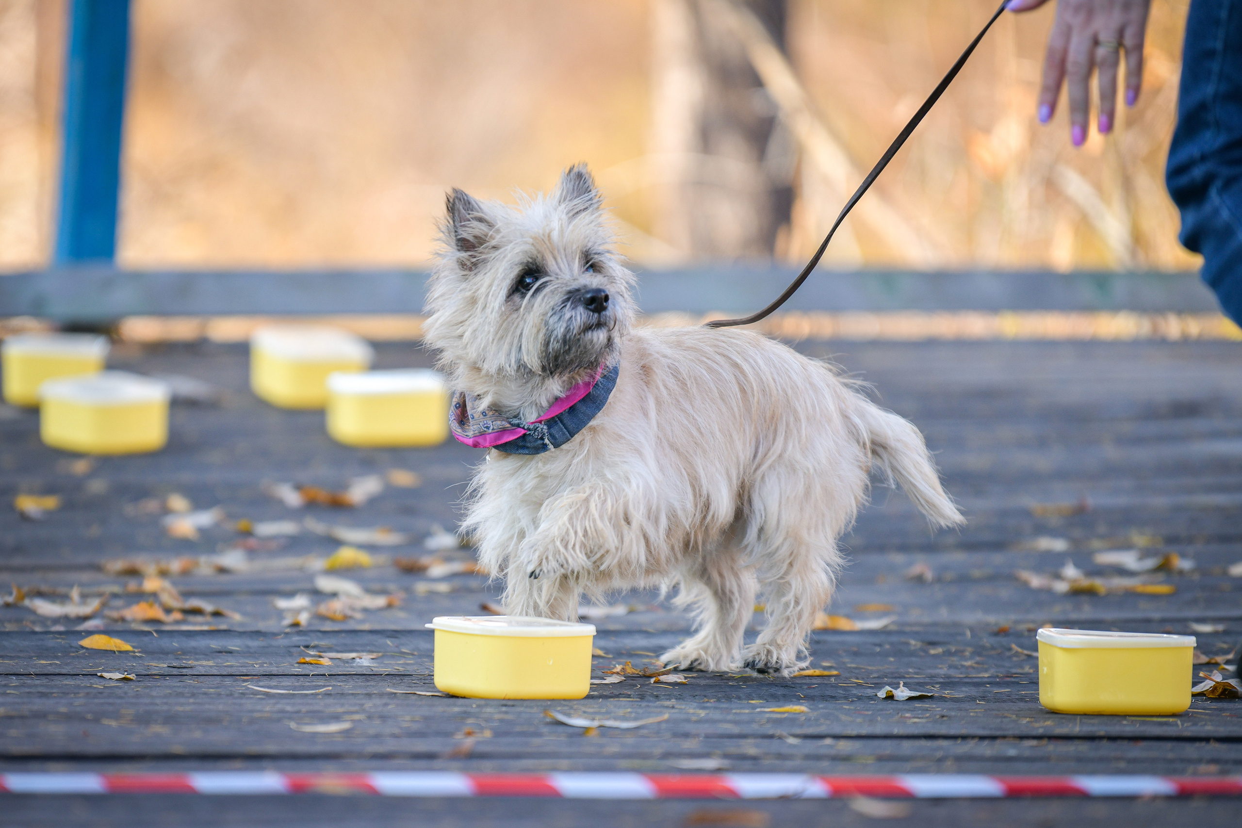 Ноузворк 17 сентября 2023. Свой взгляд через объектив