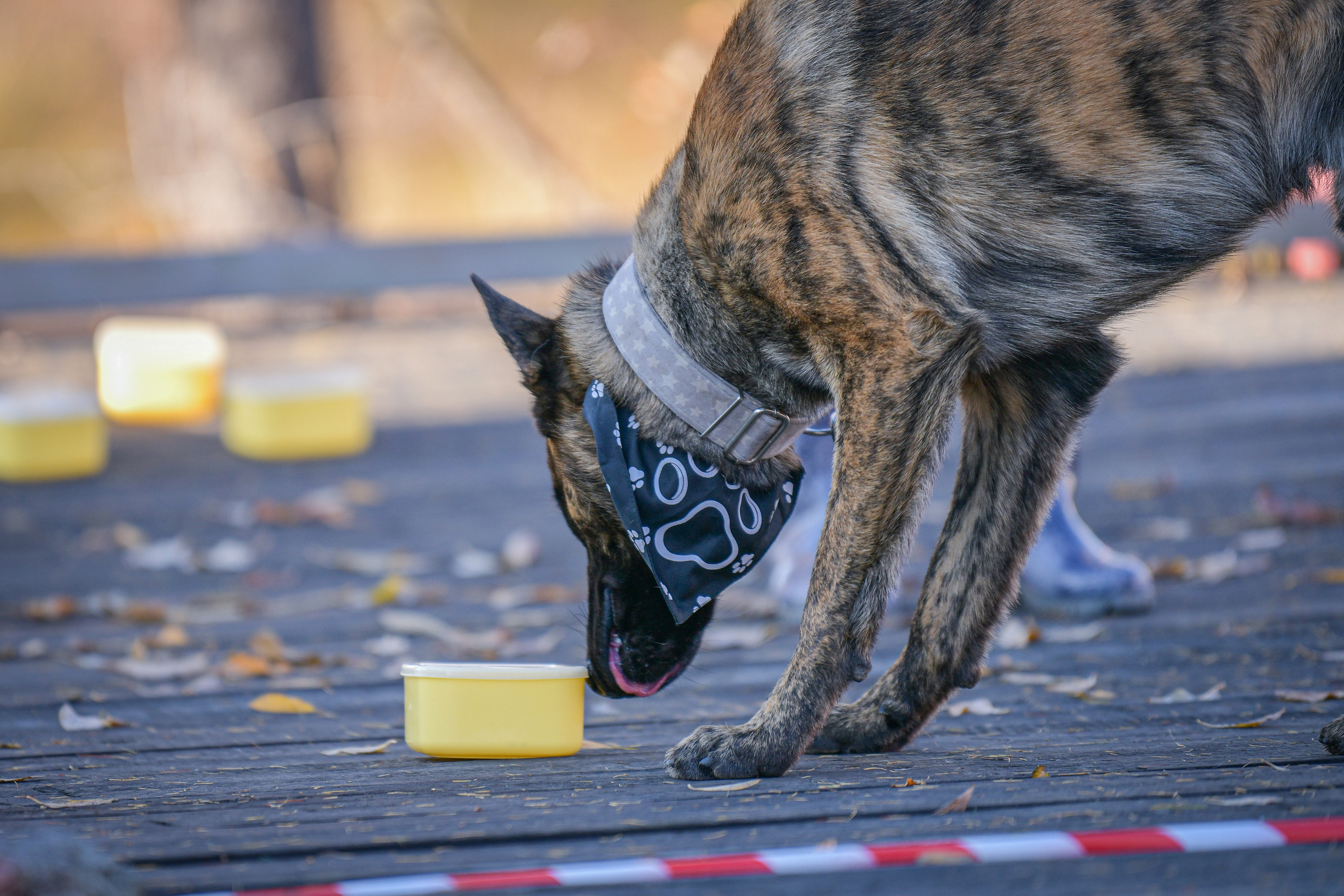 Ноузворк 17 сентября 2023. Свой взгляд через объектив