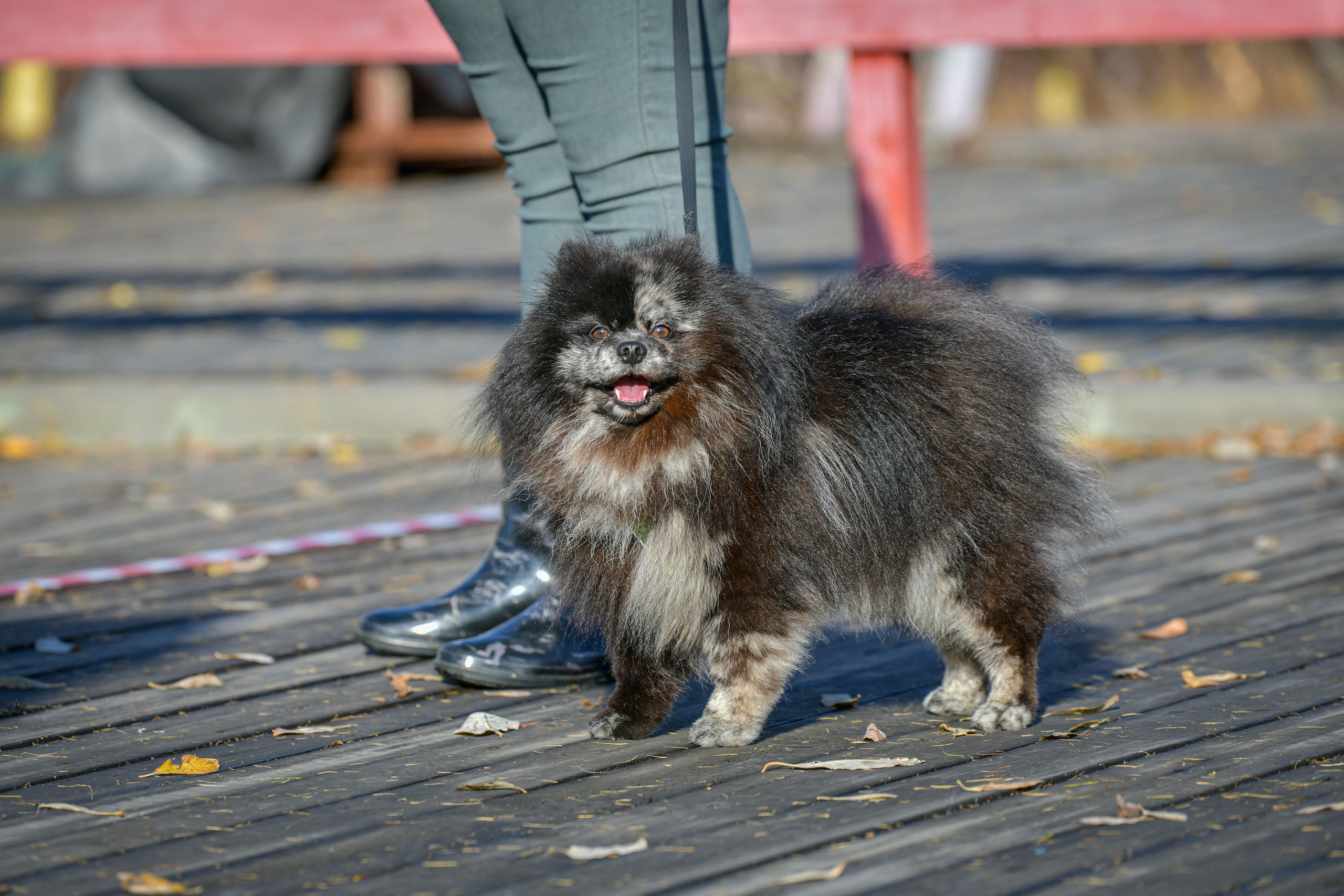 Ноузворк 17 сентября 2023. Свой взгляд через объектив