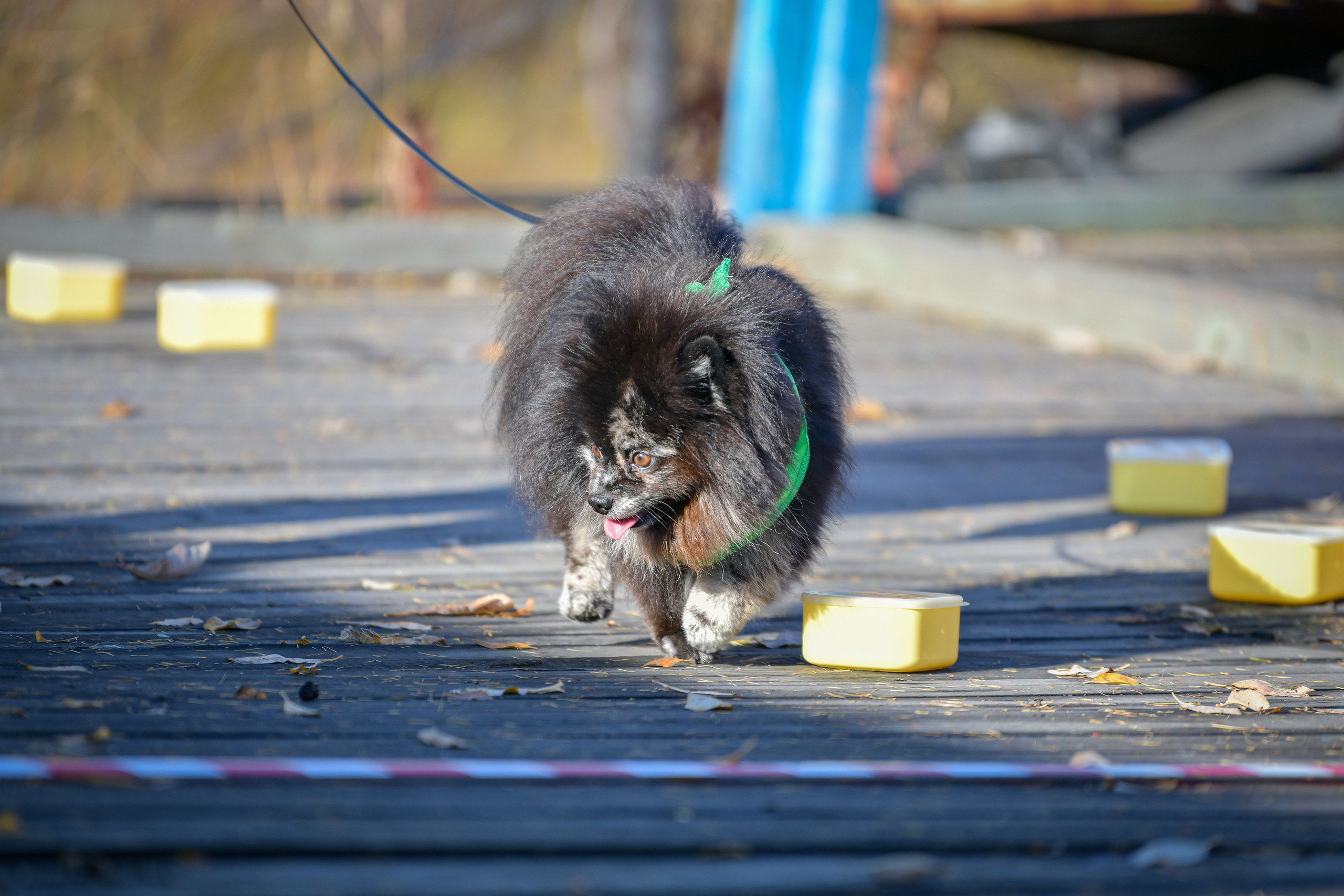 Ноузворк 17 сентября 2023. Свой взгляд через объектив