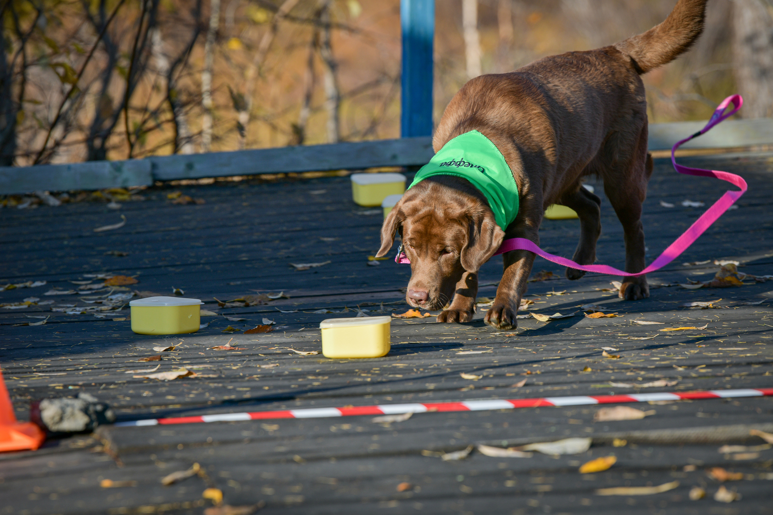 Ноузворк 17 сентября 2023. Свой взгляд через объектив