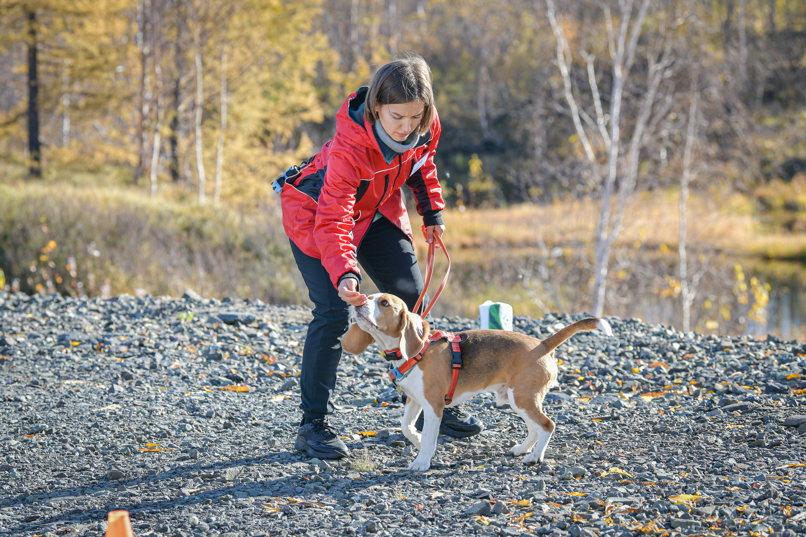 Ноузворк 17 сентября 2023. Свой взгляд через объектив