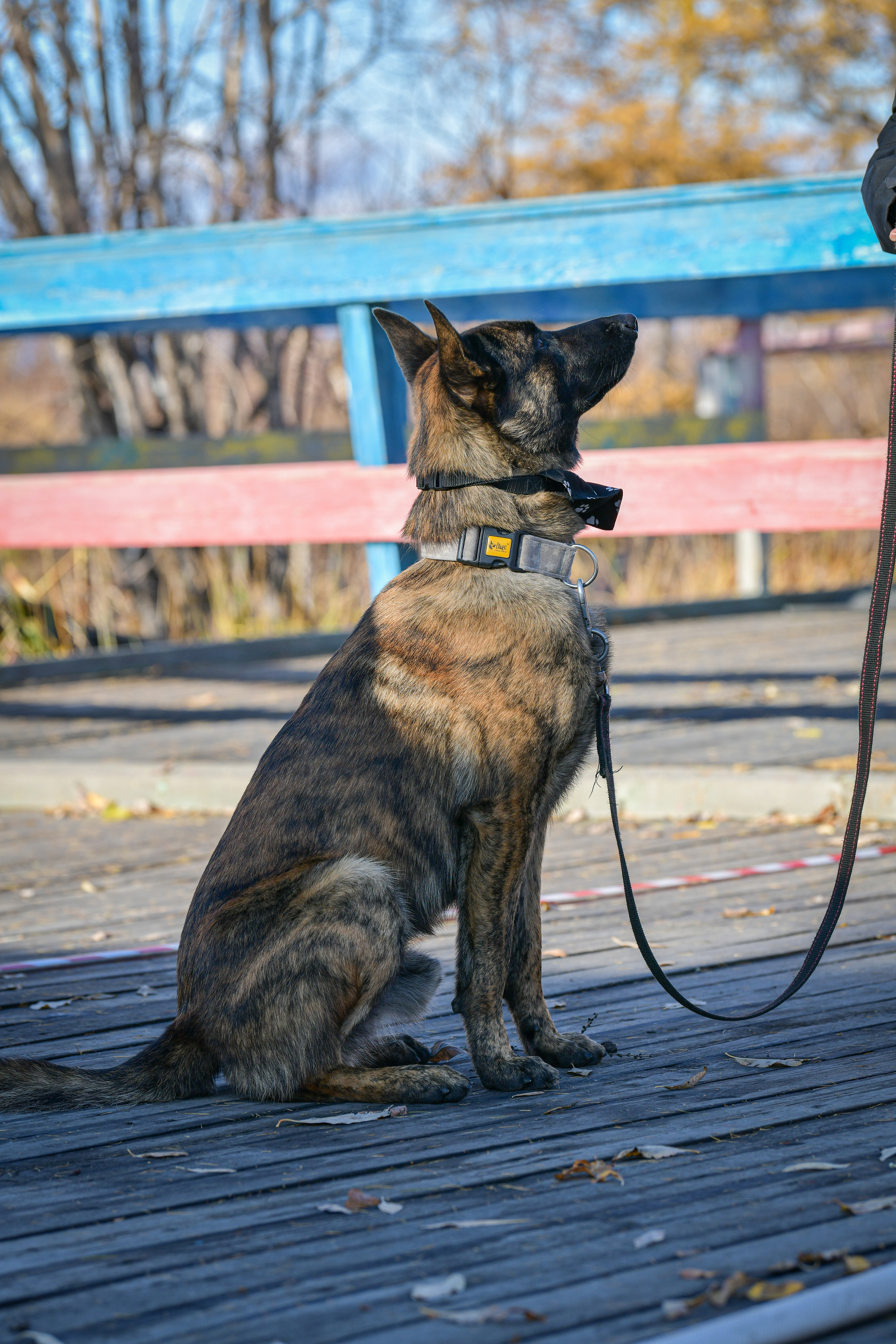 Ноузворк 17 сентября 2023. Свой взгляд через объектив