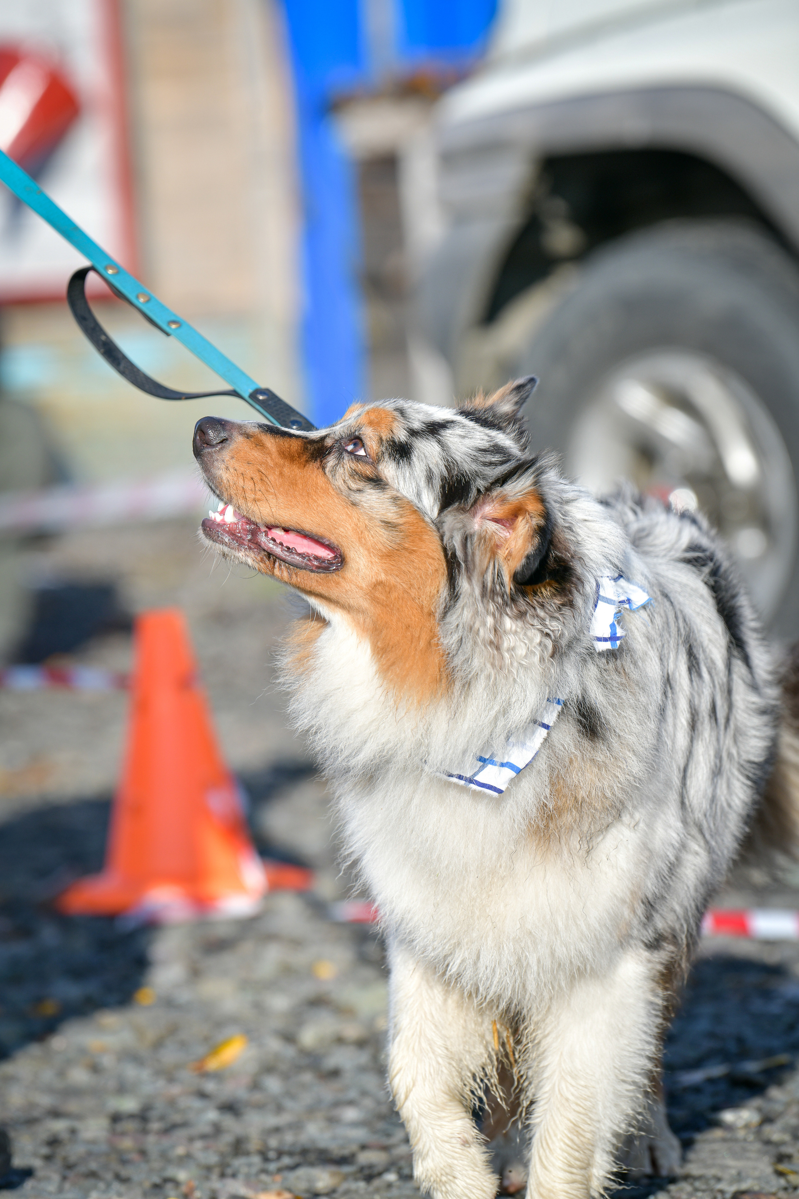 Ноузворк 17 сентября 2023. Свой взгляд через объектив