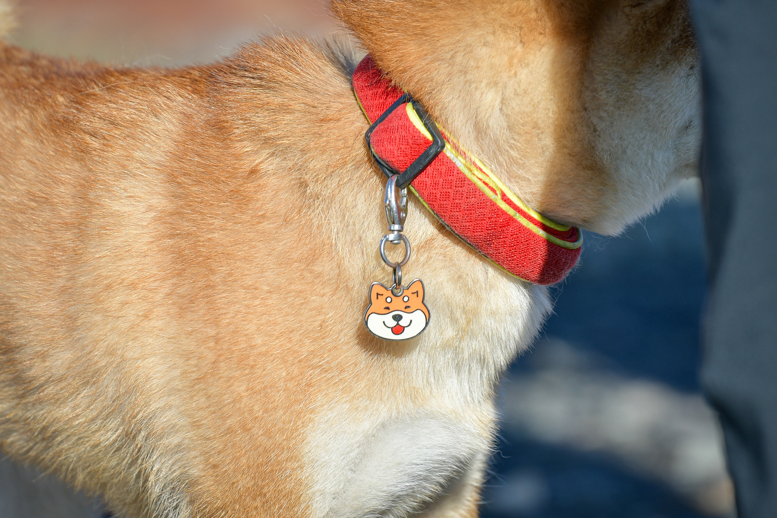 Ноузворк 17 сентября 2023. Свой взгляд через объектив