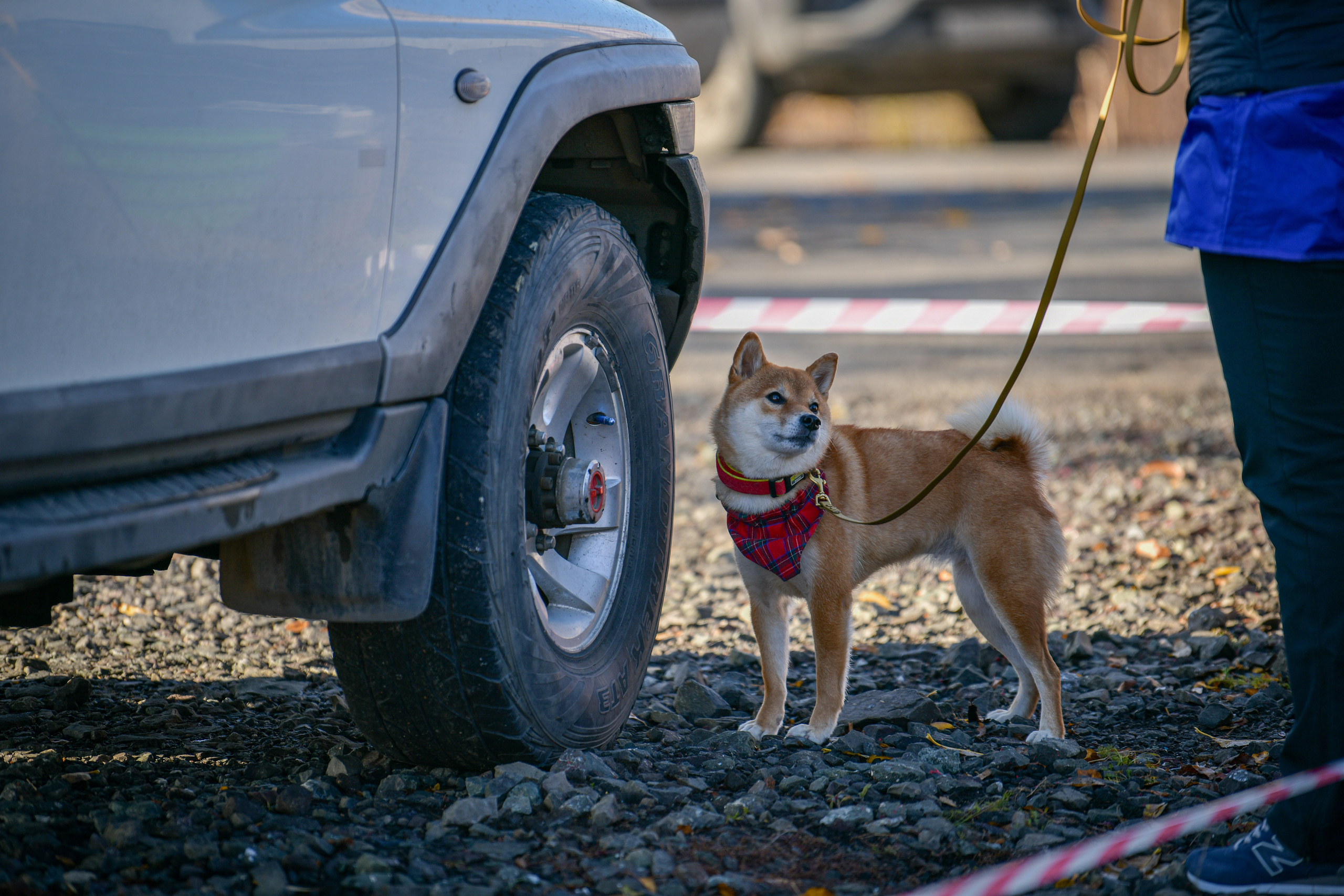 Ноузворк 17 сентября 2023. Свой взгляд через объектив