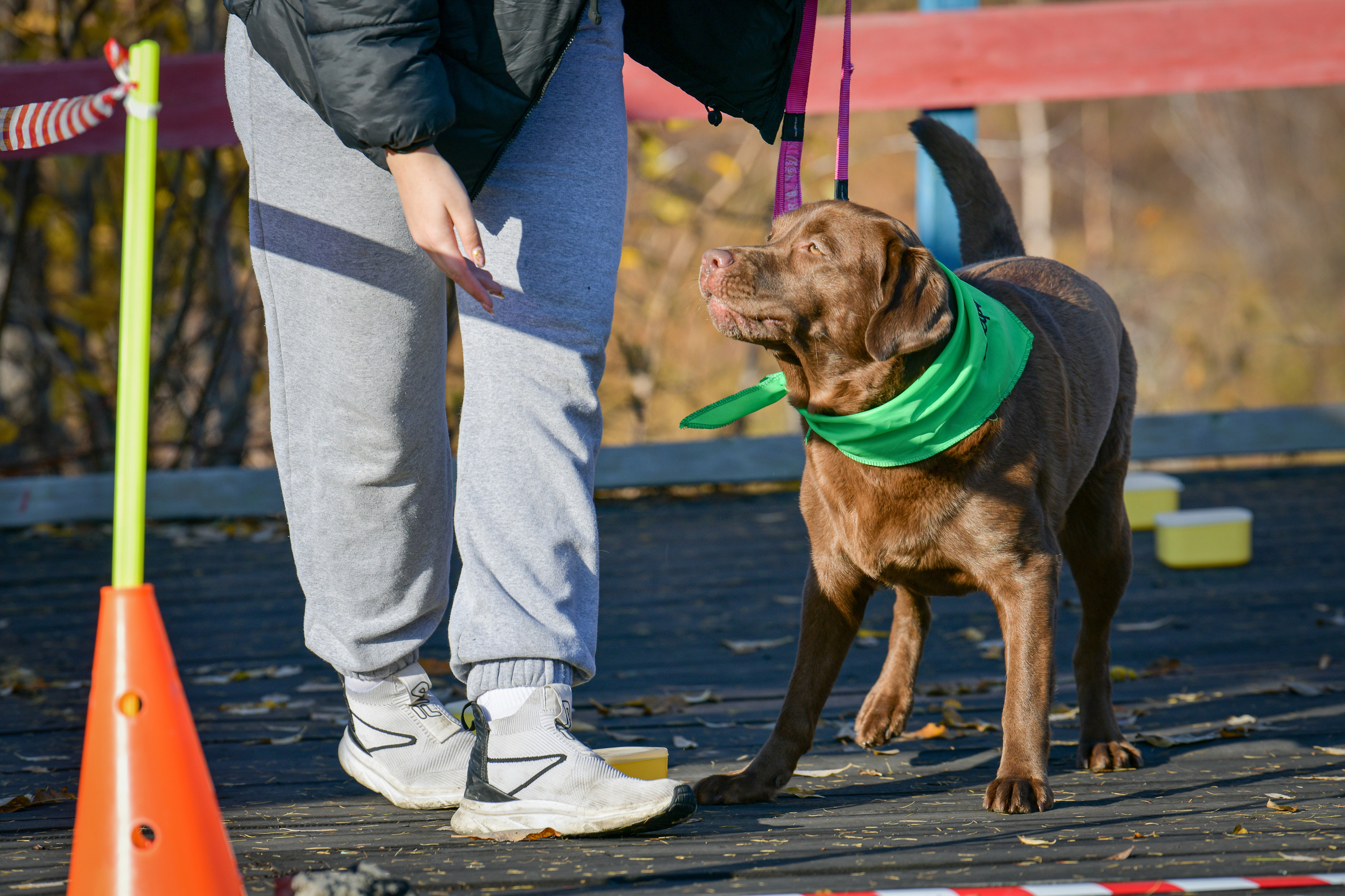 Ноузворк 17 сентября 2023. Свой взгляд через объектив
