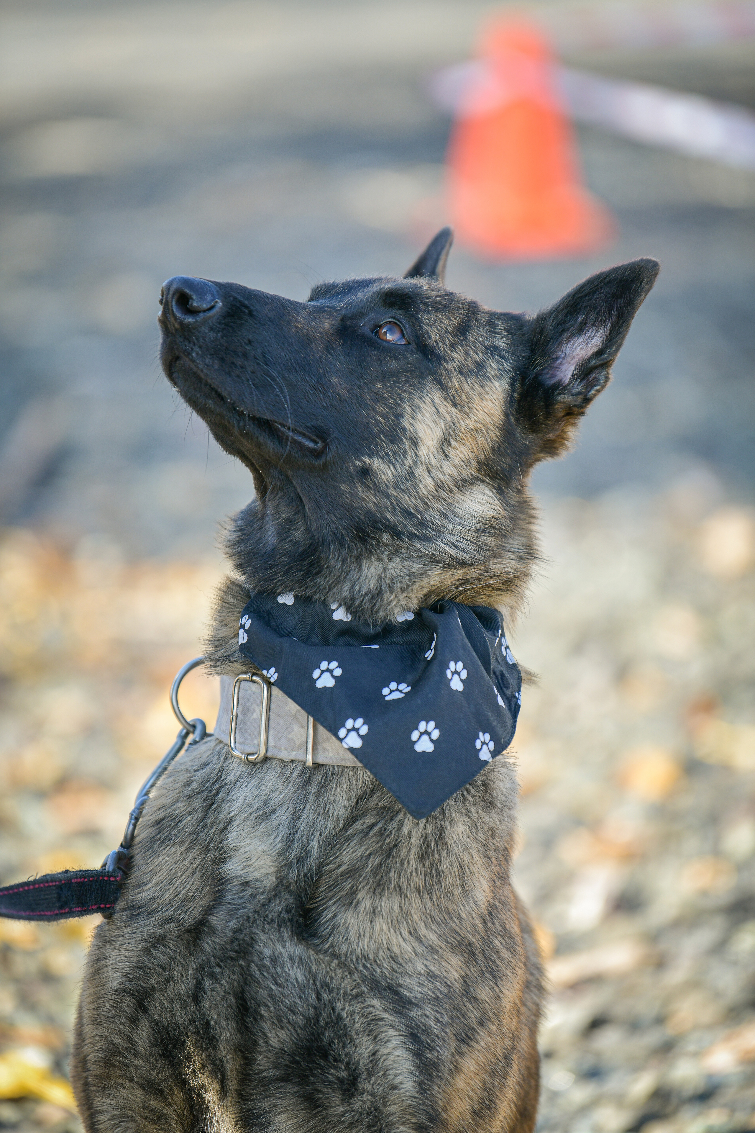 Ноузворк 17 сентября 2023. Свой взгляд через объектив