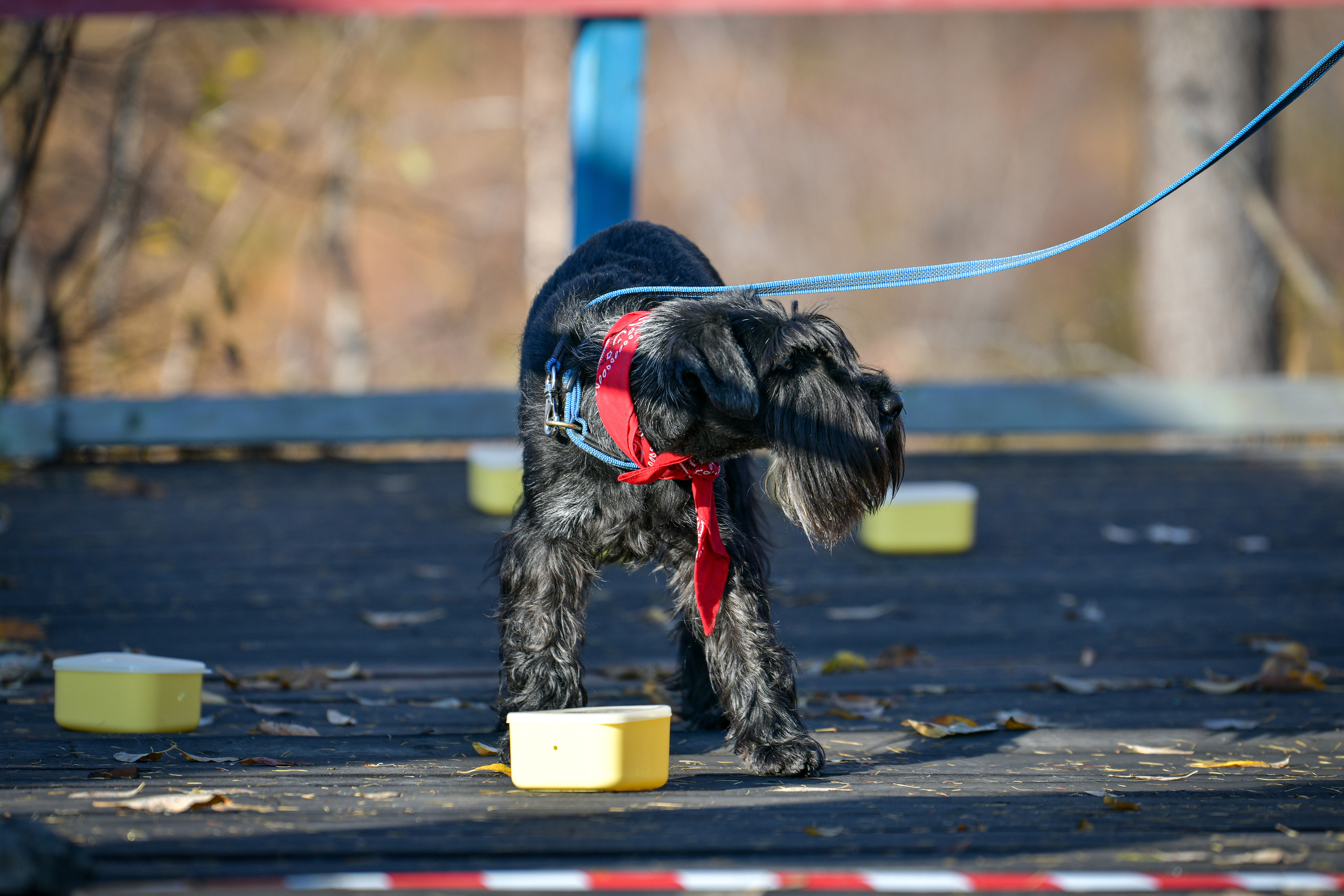 Ноузворк 17 сентября 2023. Свой взгляд через объектив