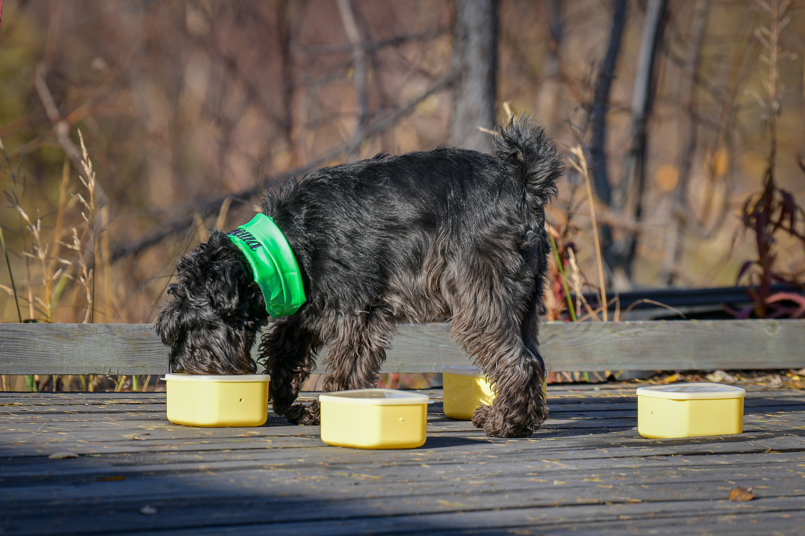 Ноузворк 17 сентября 2023. Свой взгляд через объектив