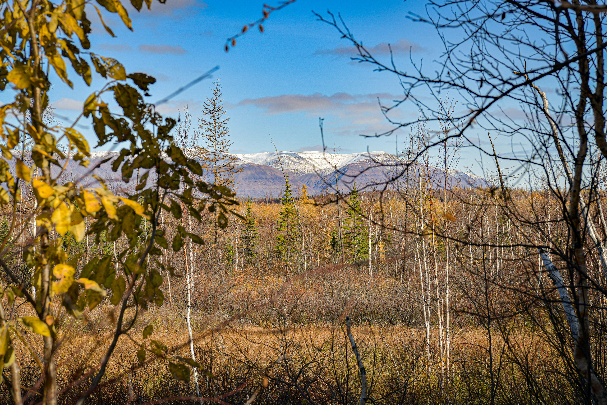 Ноузворк 17 сентября 2023. Свой взгляд через объектив