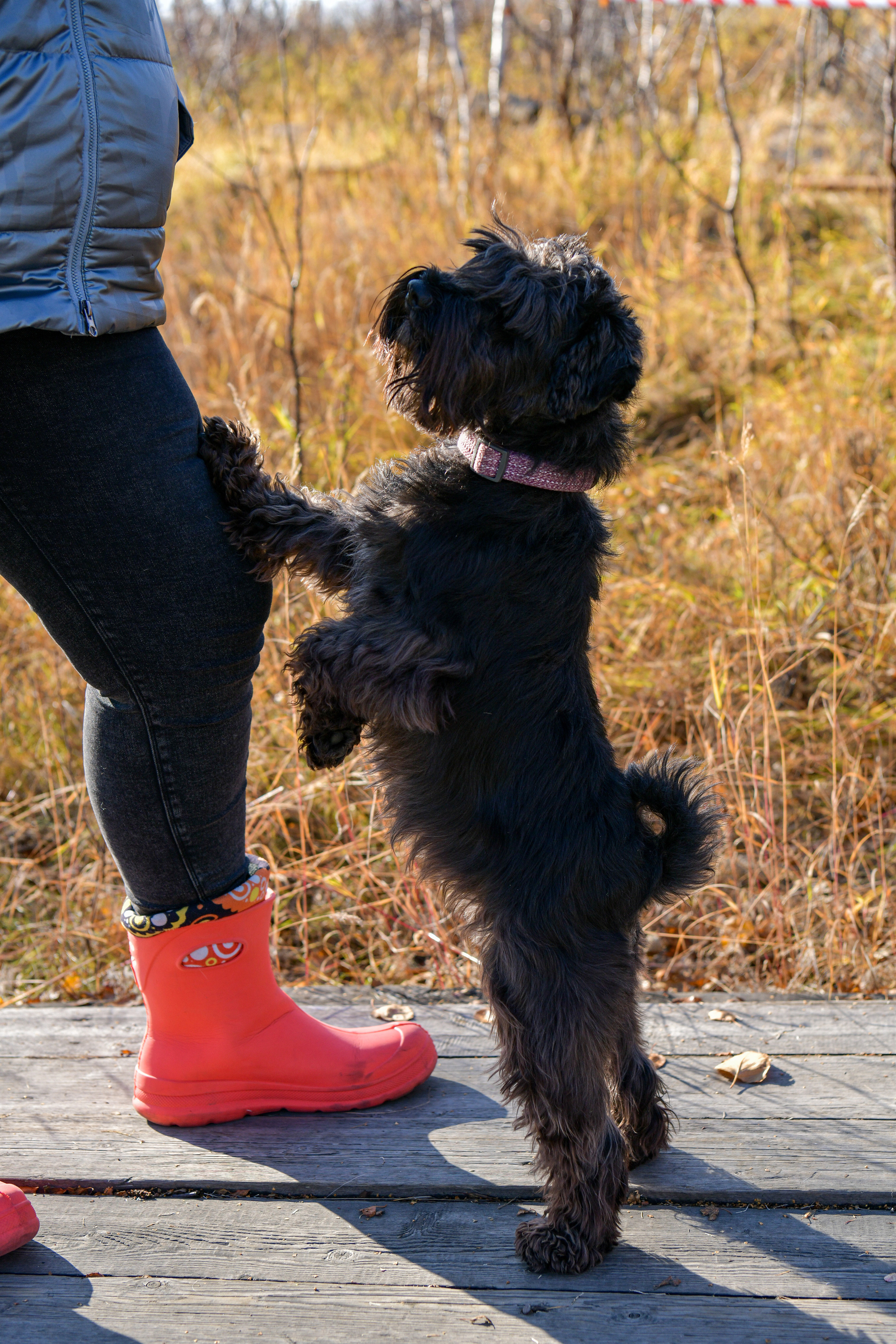 Ноузворк 17 сентября 2023. Свой взгляд через объектив