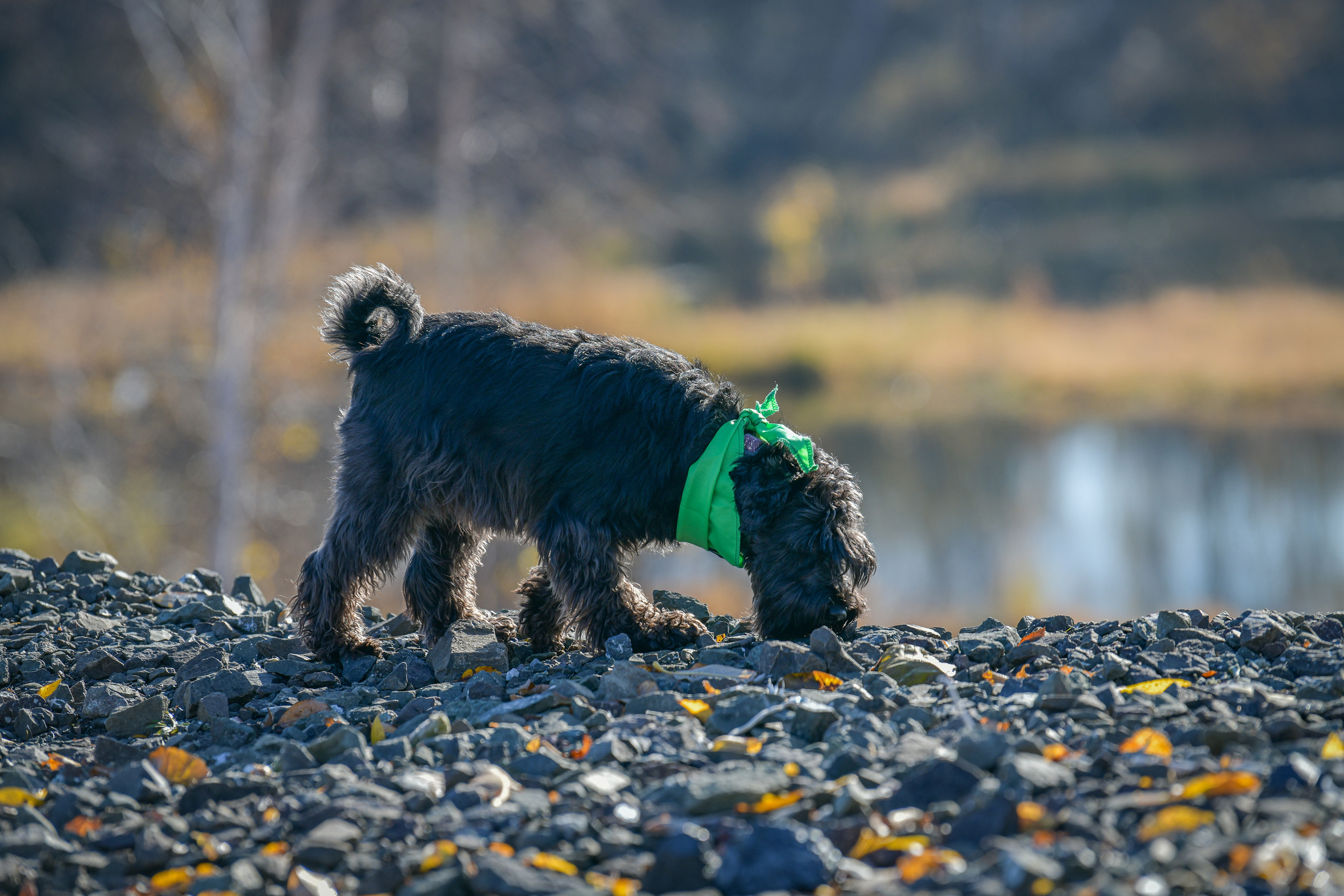 Ноузворк 17 сентября 2023. Свой взгляд через объектив