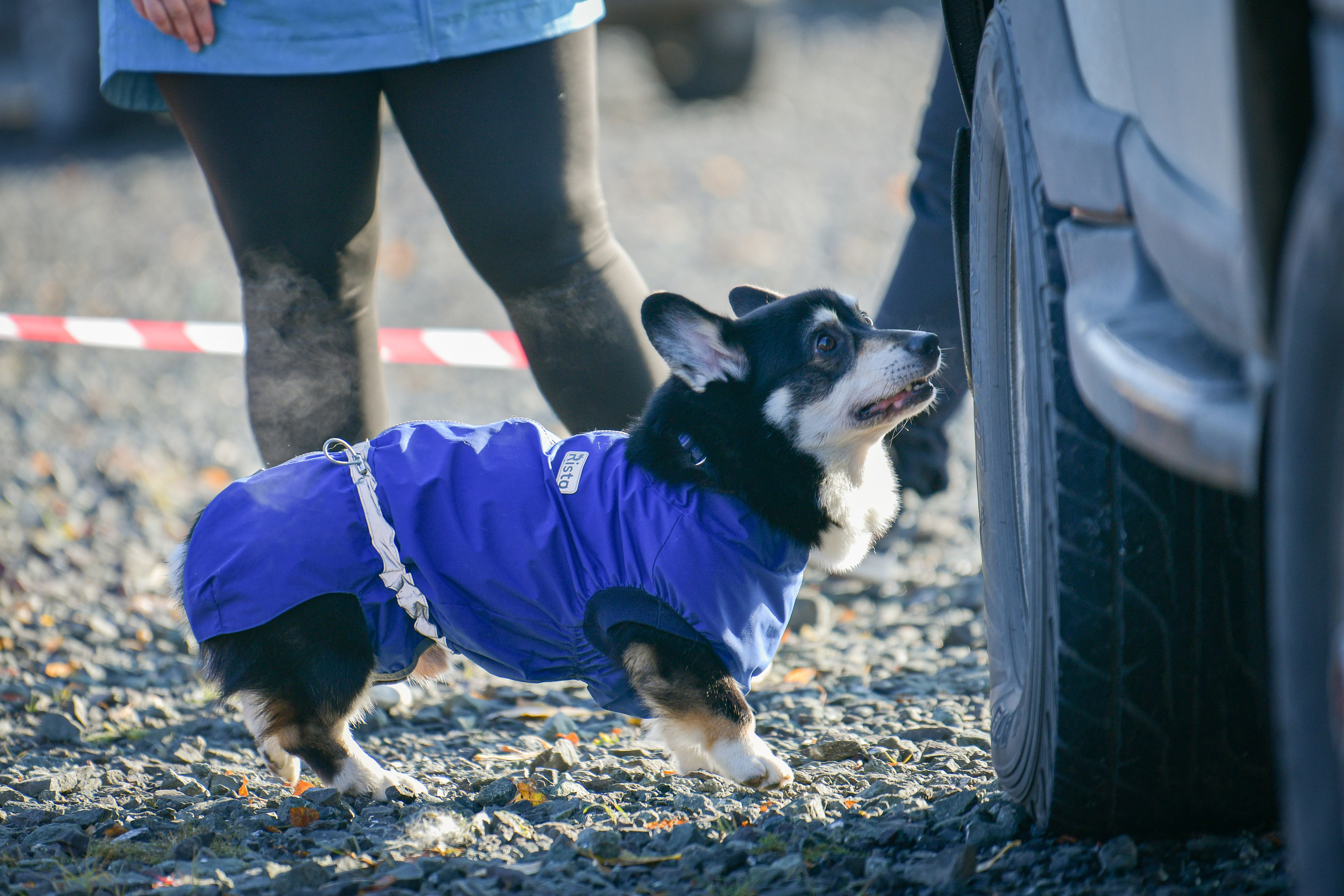 Ноузворк 17 сентября 2023. Свой взгляд через объектив