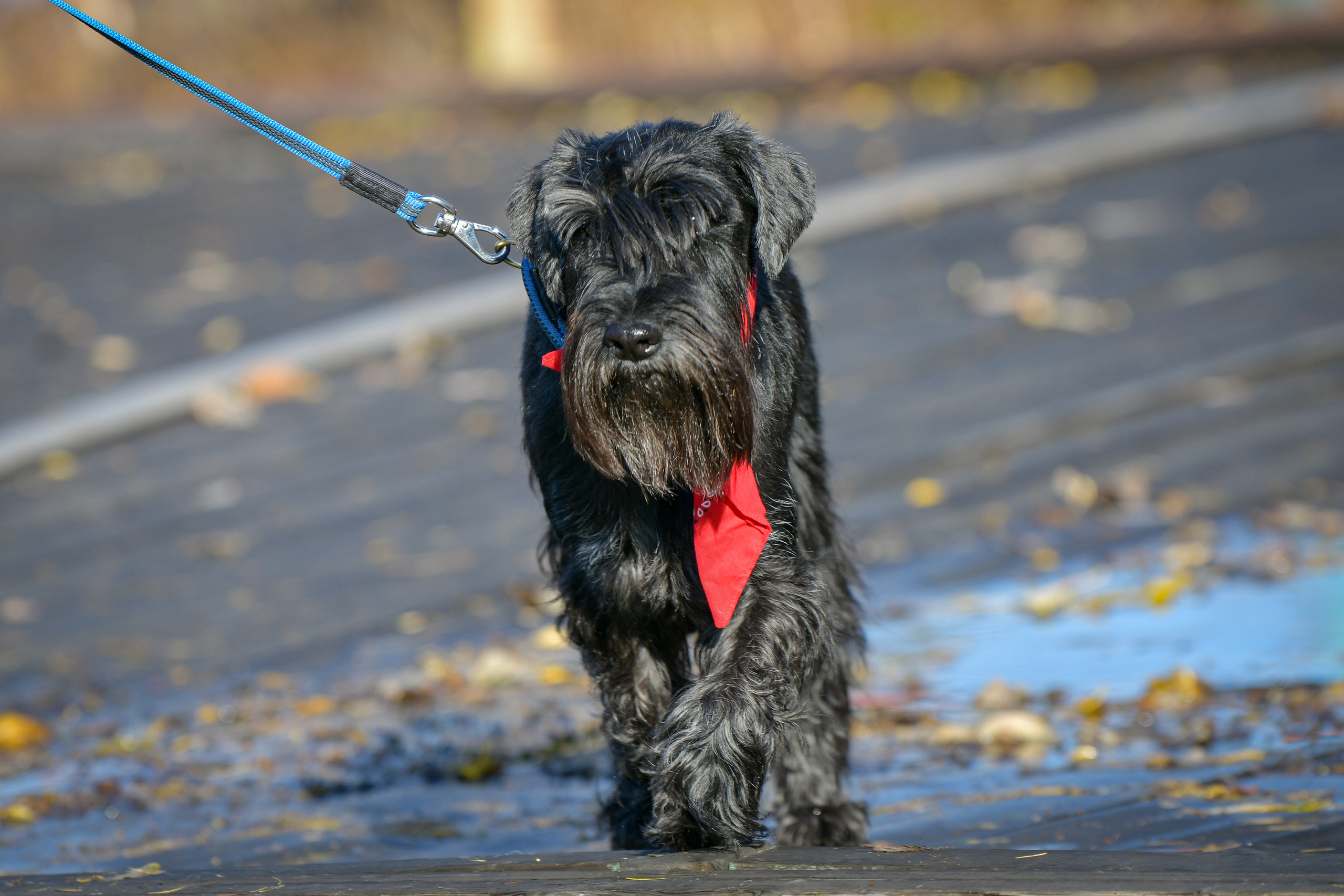 Ноузворк 17 сентября 2023. Свой взгляд через объектив