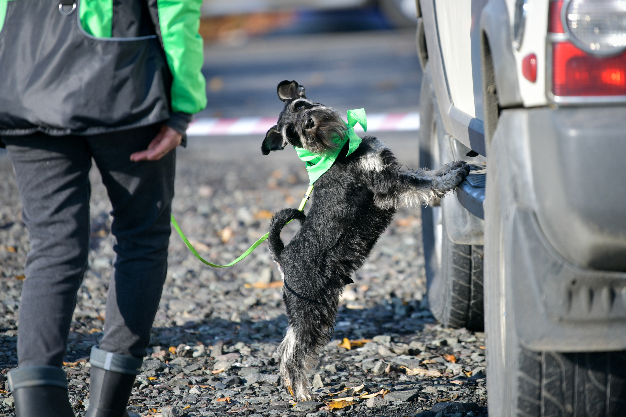 Ноузворк 17 сентября 2023. Свой взгляд через объектив