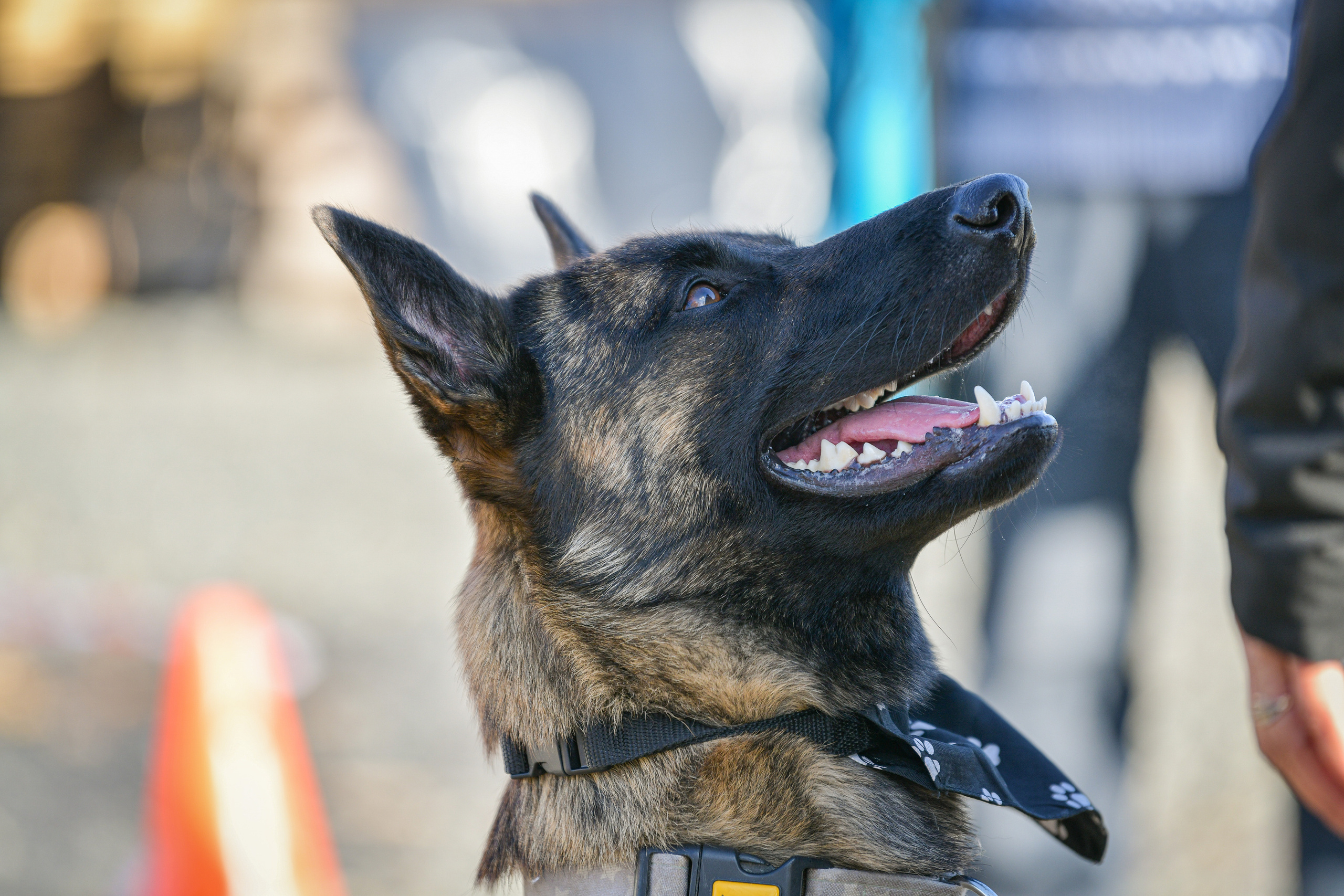 Ноузворк 17 сентября 2023. Свой взгляд через объектив