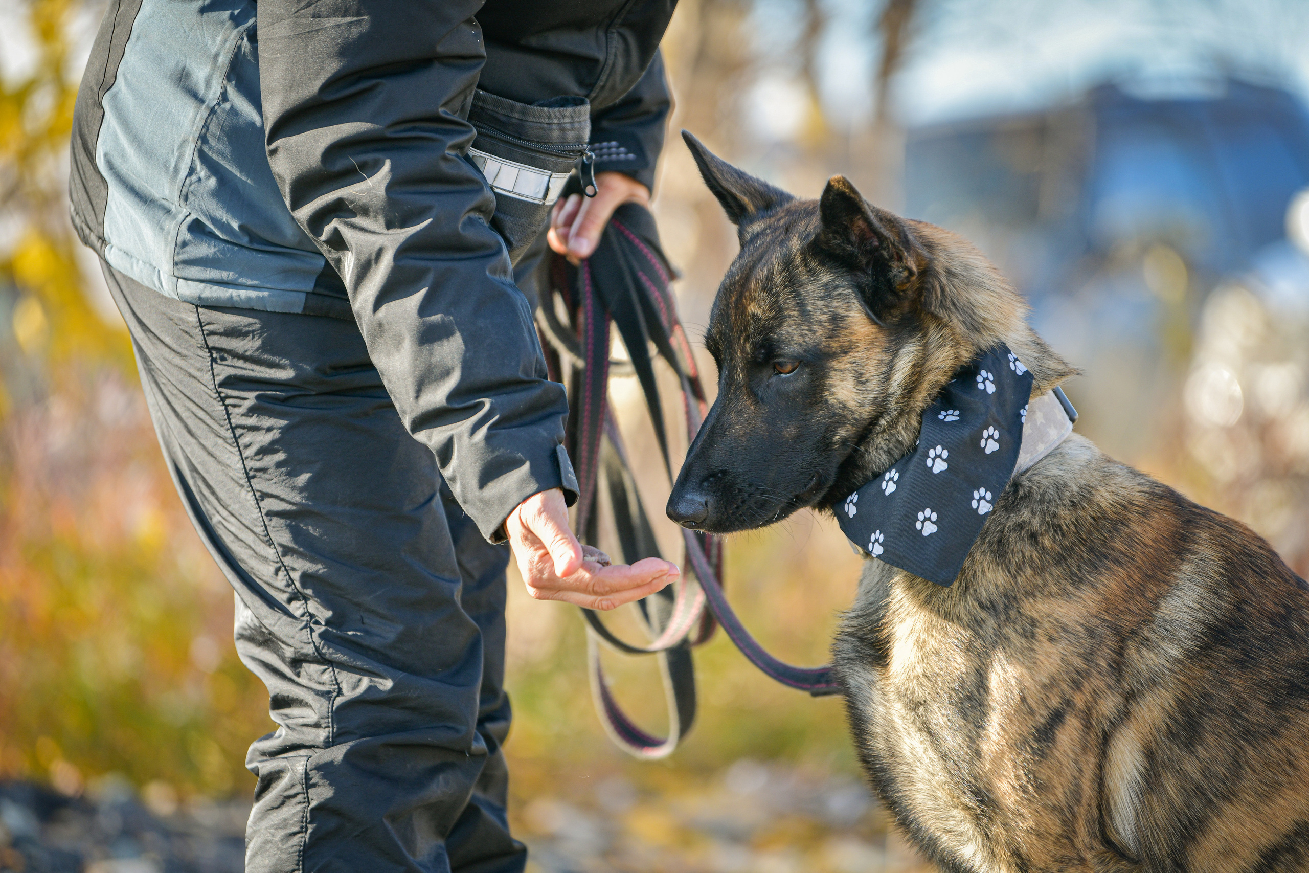 Ноузворк 17 сентября 2023. Свой взгляд через объектив