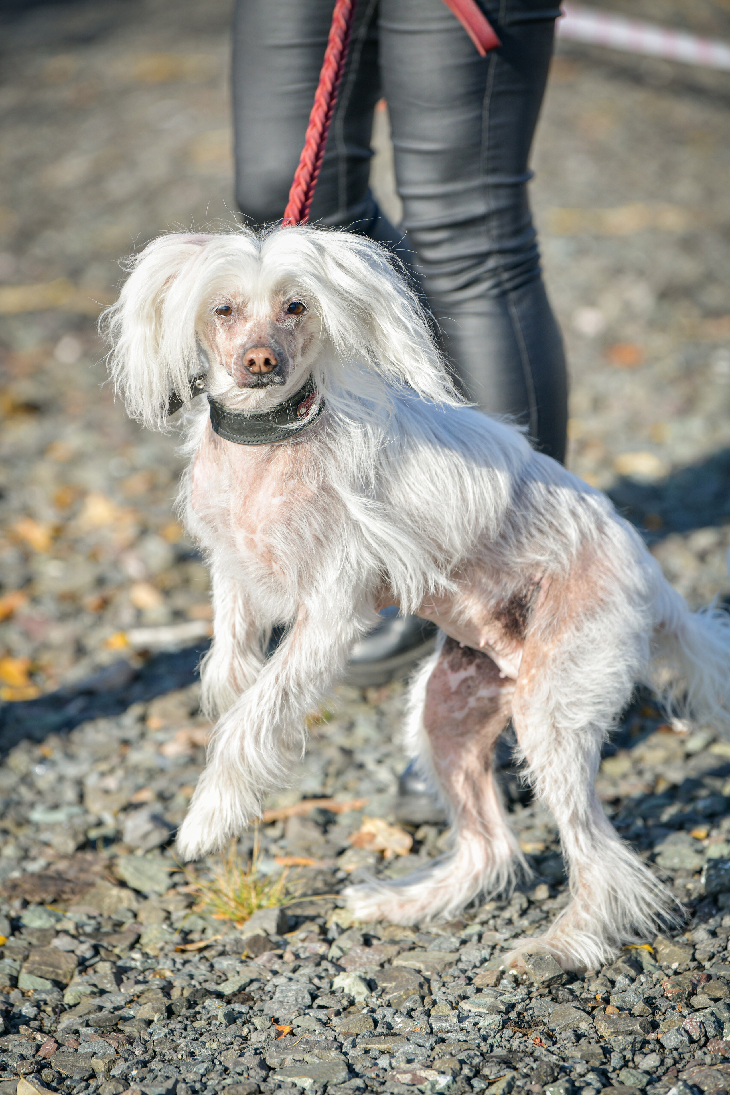 Ноузворк 17 сентября 2023. Свой взгляд через объектив