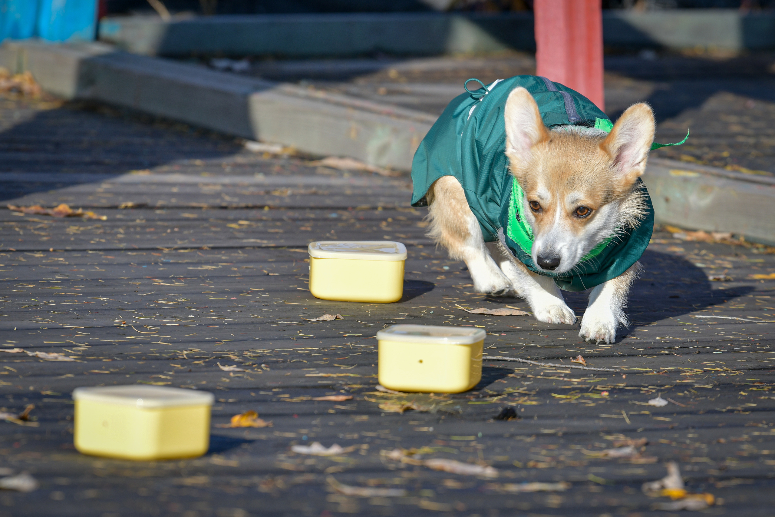 Ноузворк 17 сентября 2023. Свой взгляд через объектив
